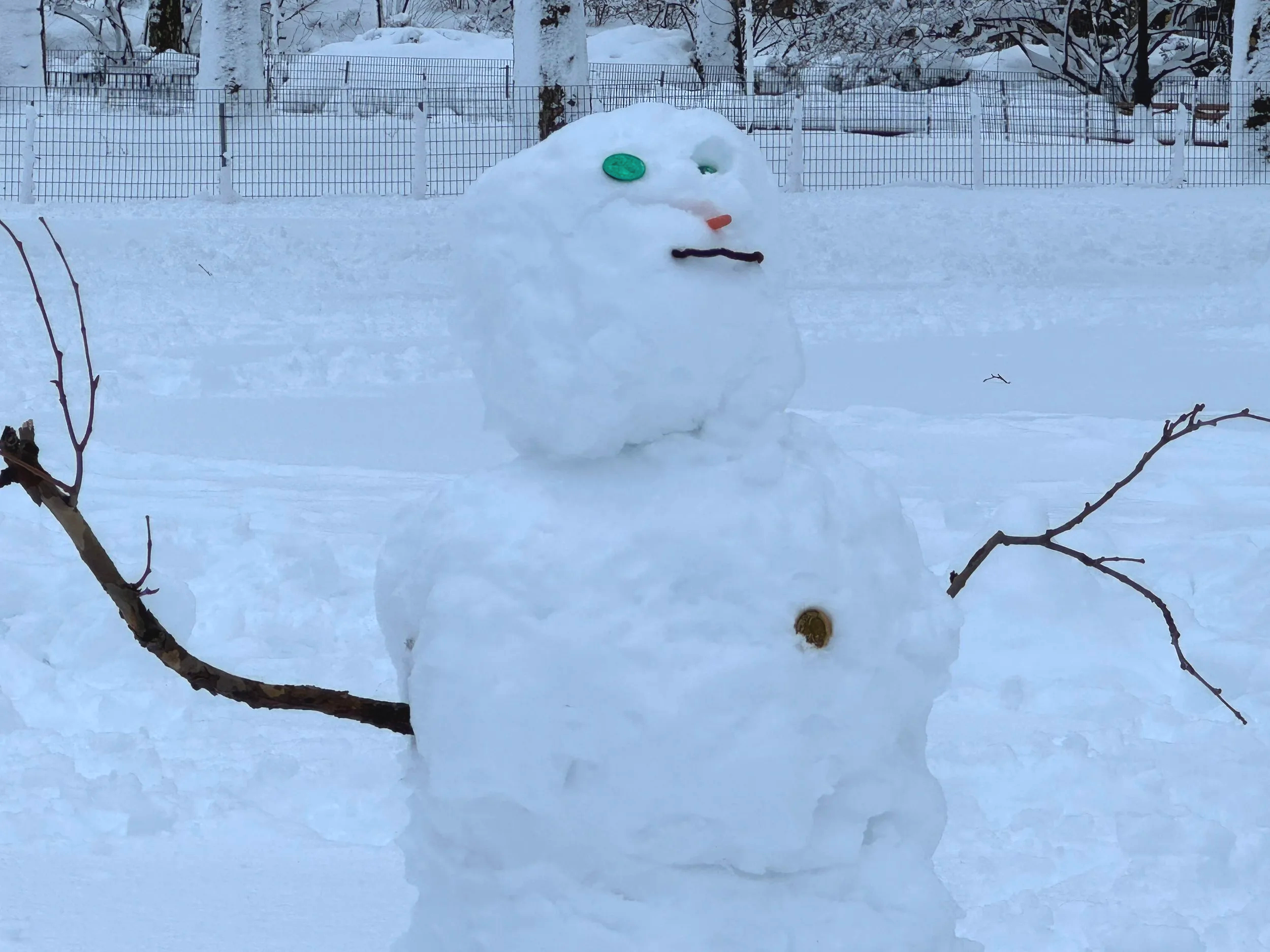 snowman+green+eye.png