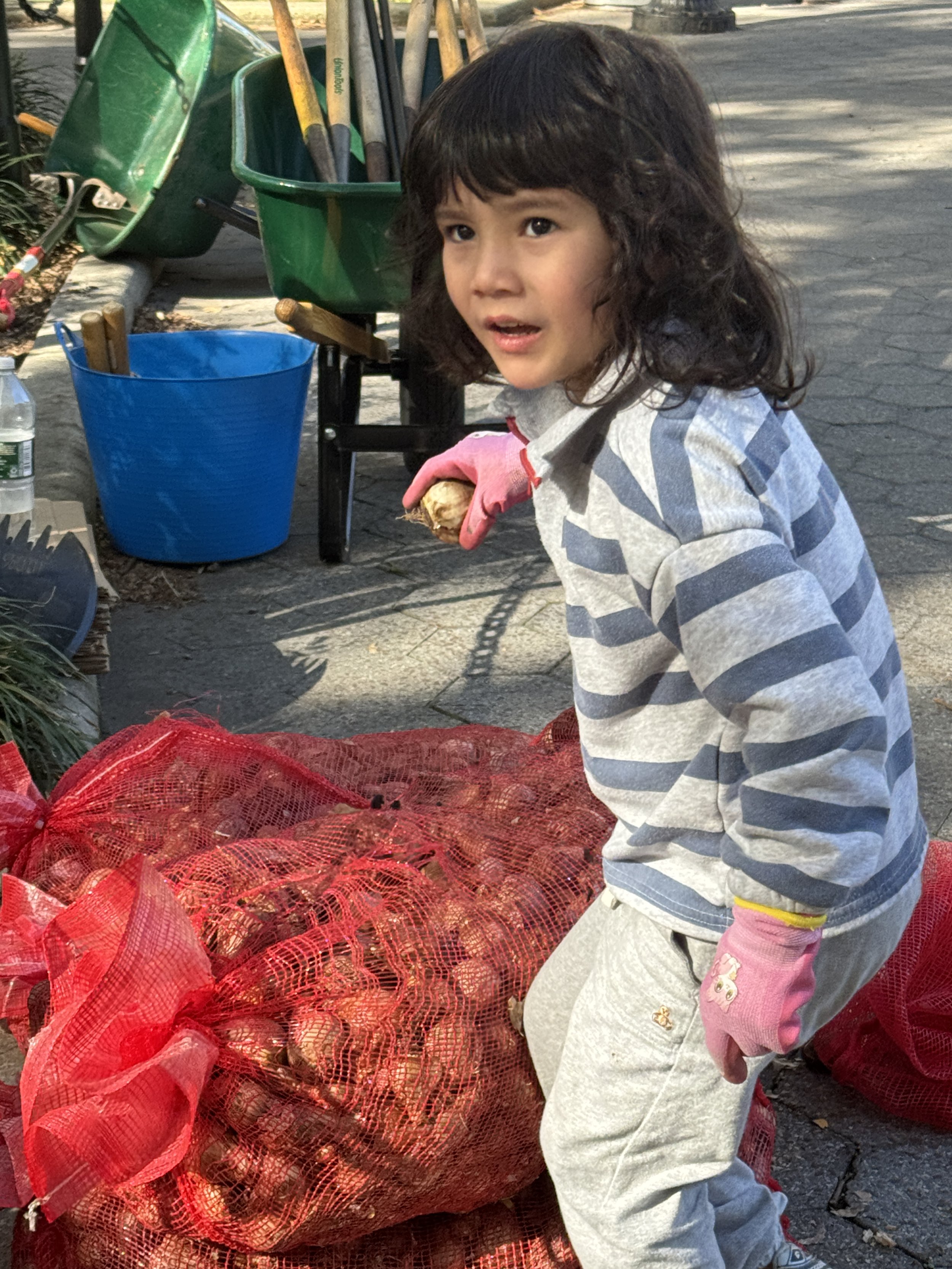 daff bulb kid.JPG