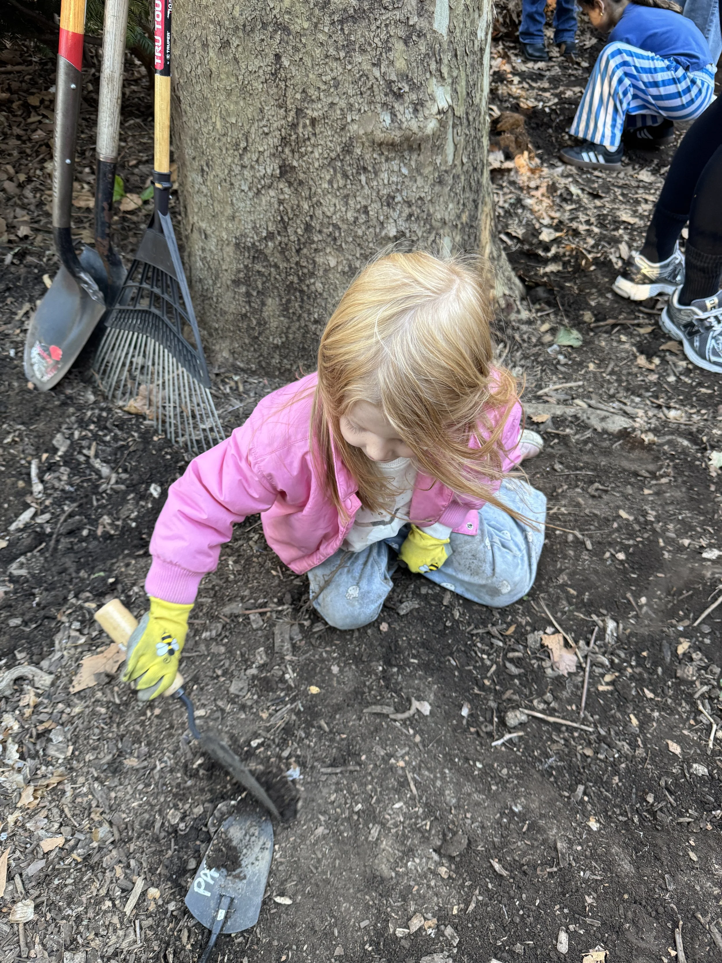 GS little shovel.JPG