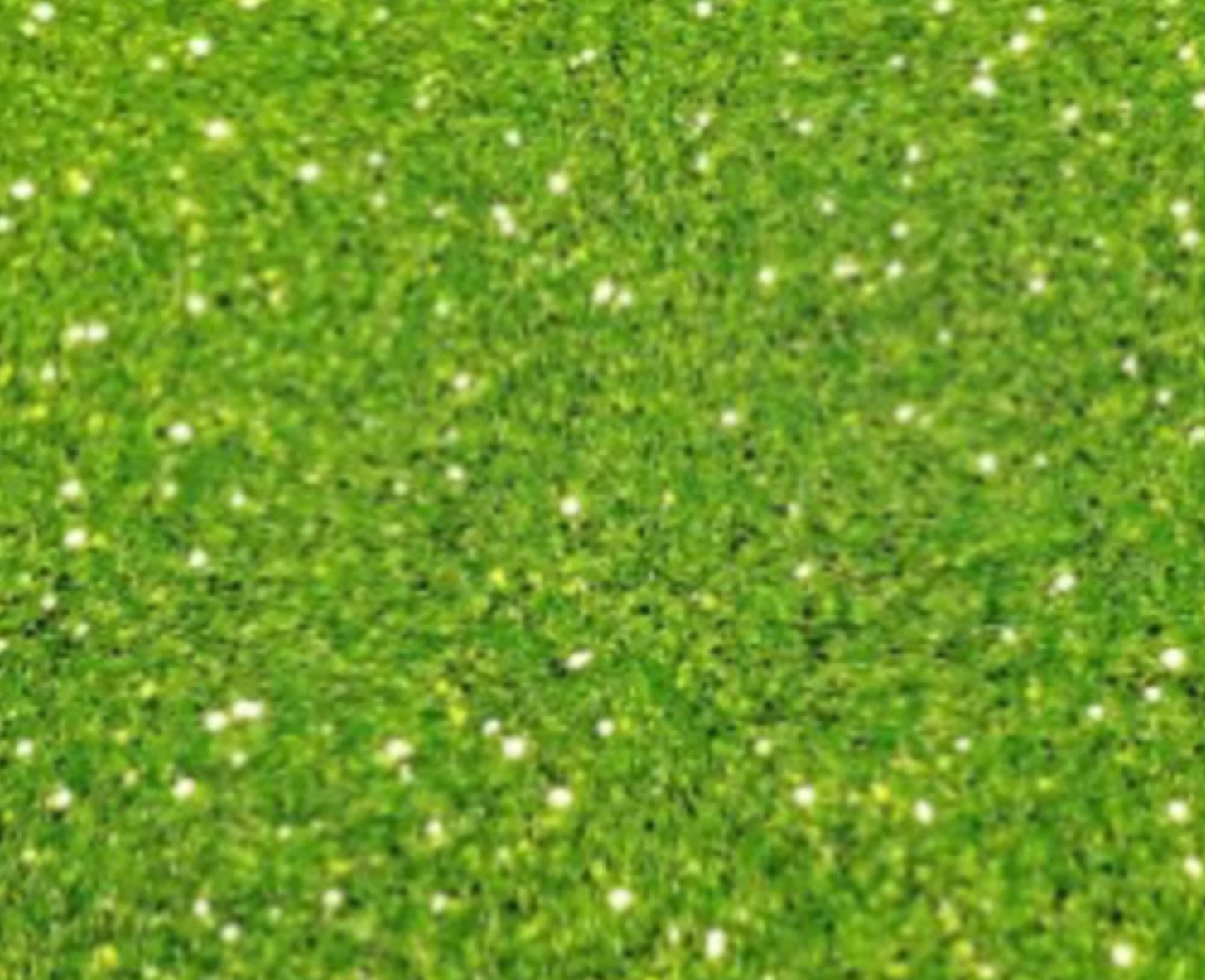 Lime Luster Fine Glitter.png