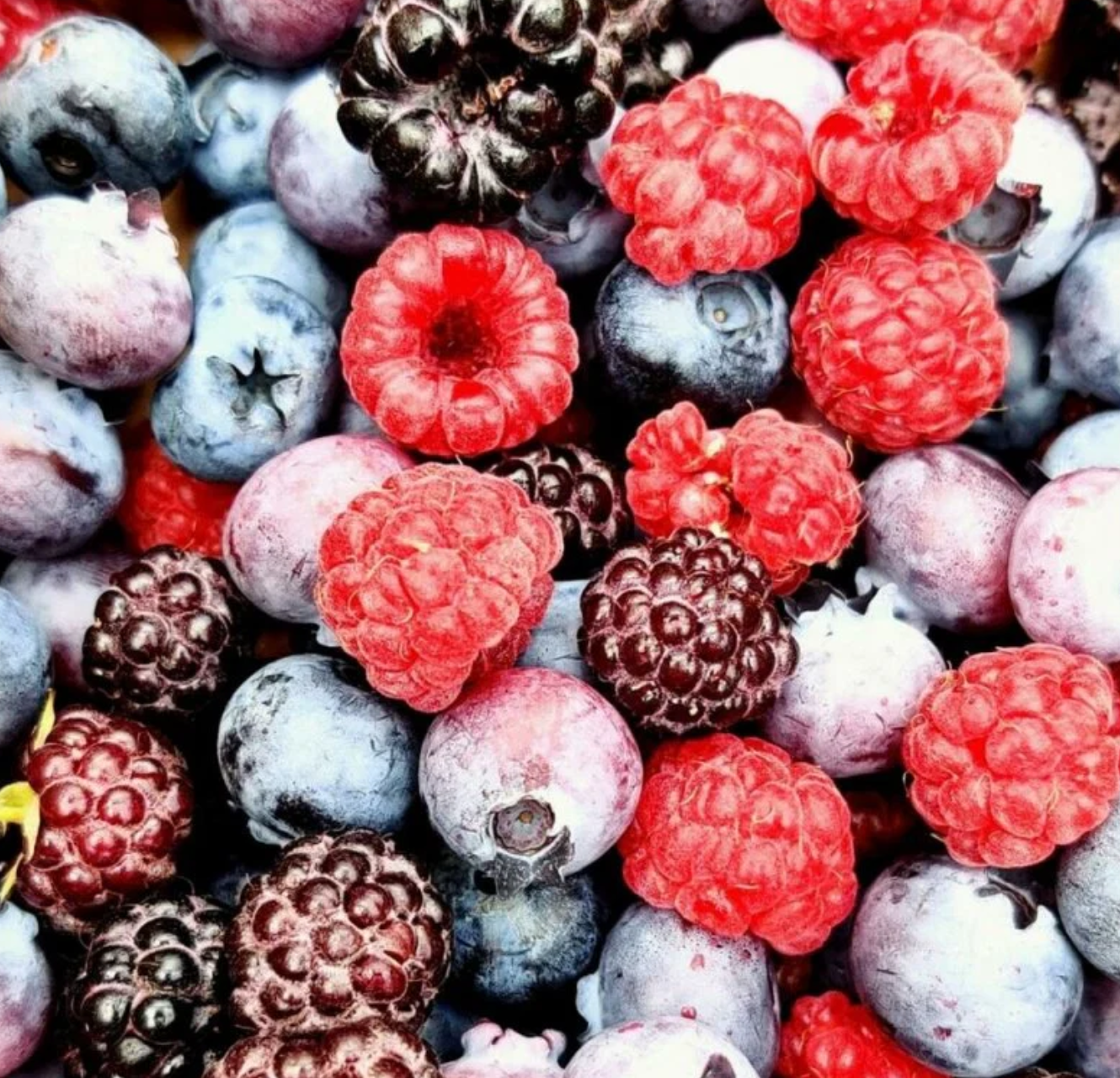 Mulberry.png