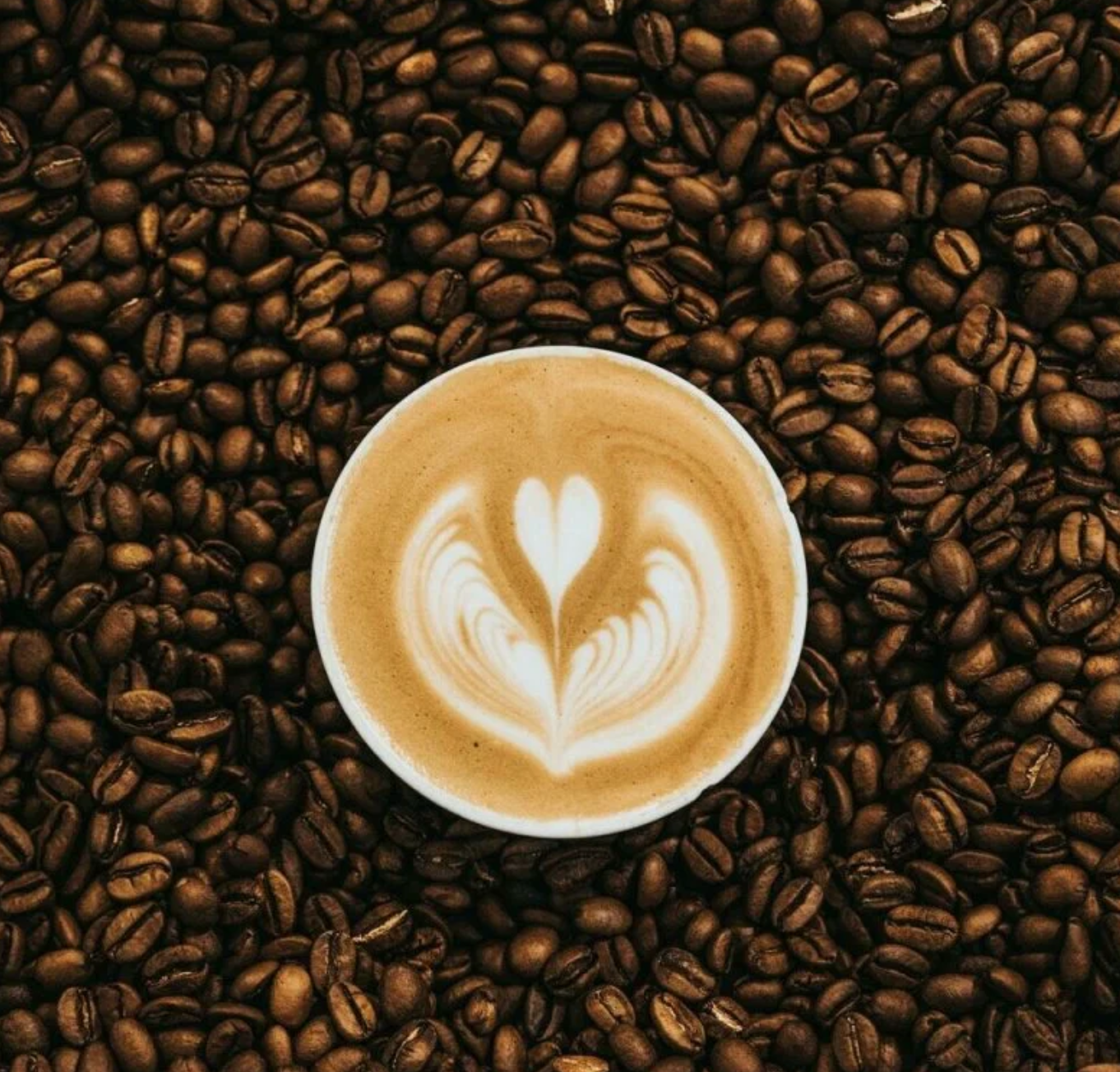 Starbucks Coffee (Type).png