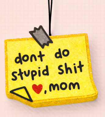 Don't do stupid shit