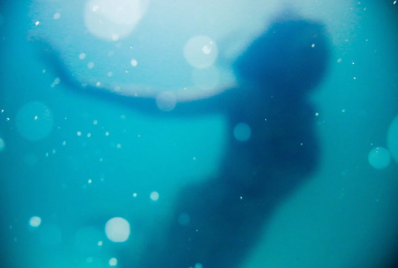 Mermaid Wishes.png
