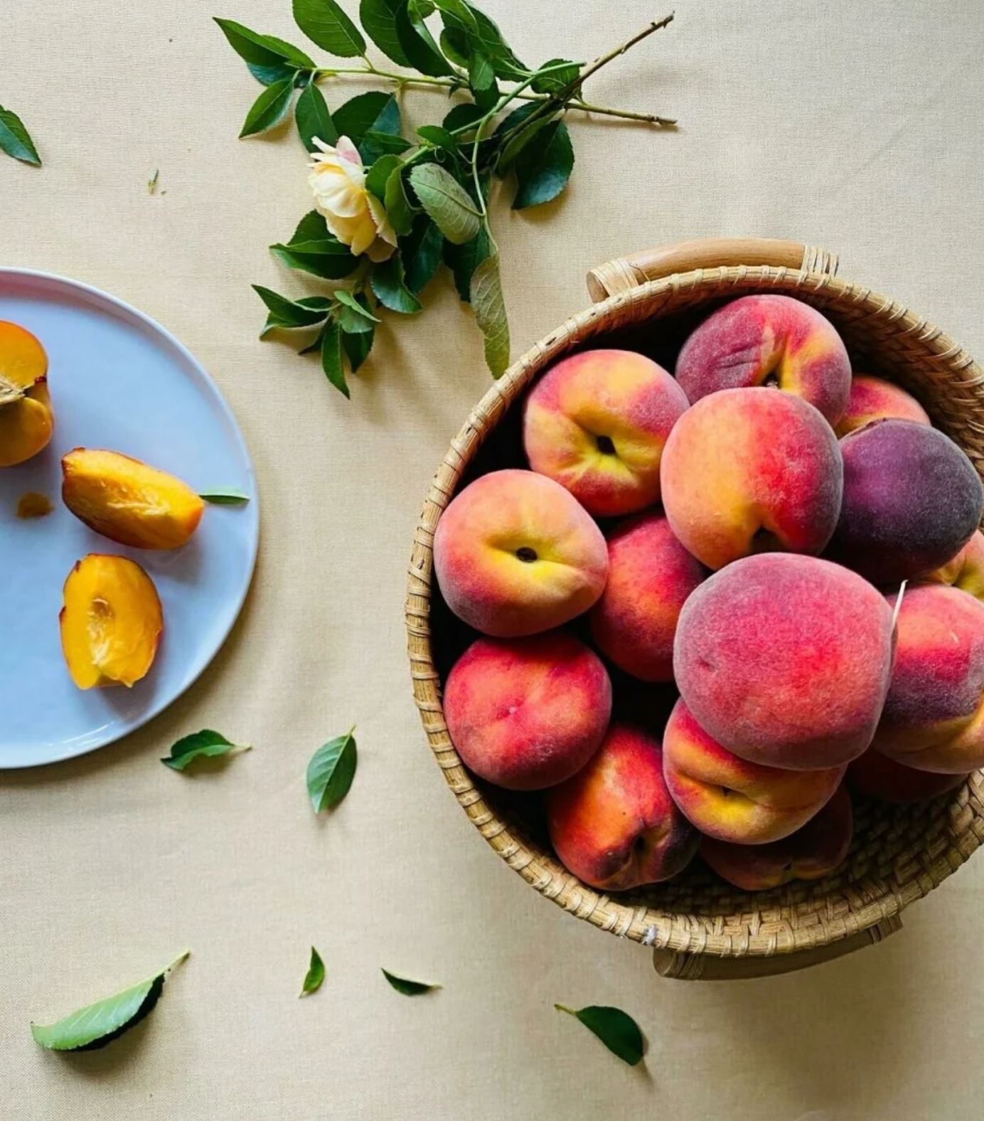 Georgia Peach.png