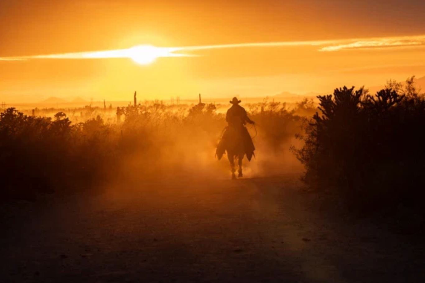 Sun-Drenched Cowboy.png
