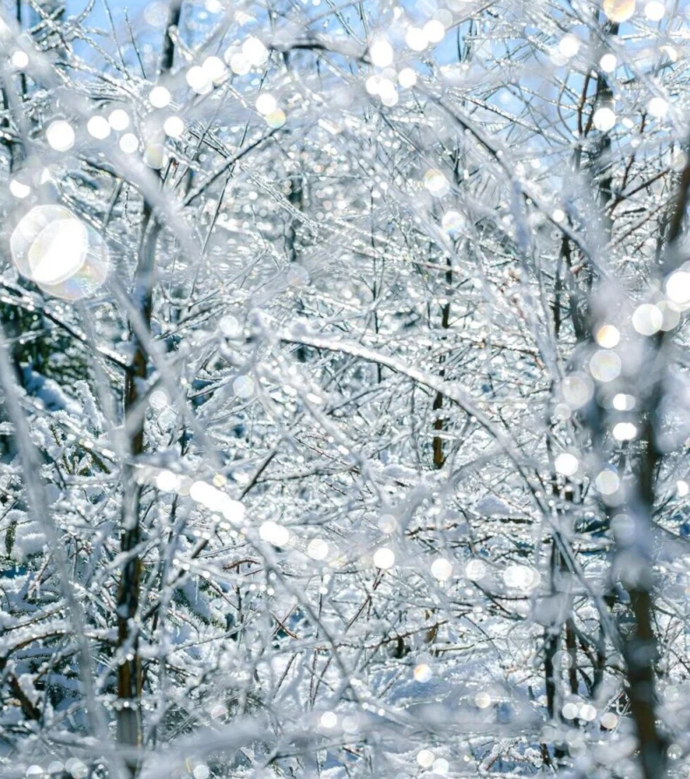 Sparkling Icicles (BBW Type).png