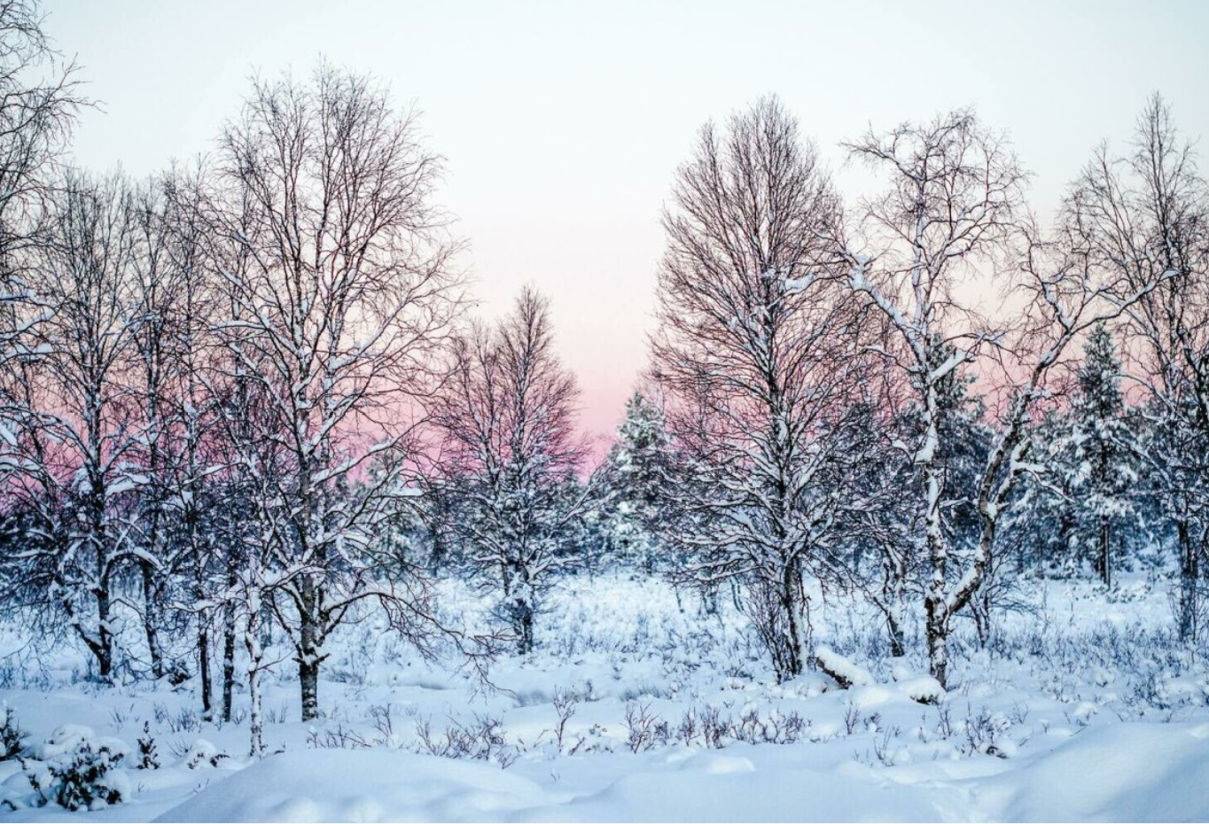 winter.png
