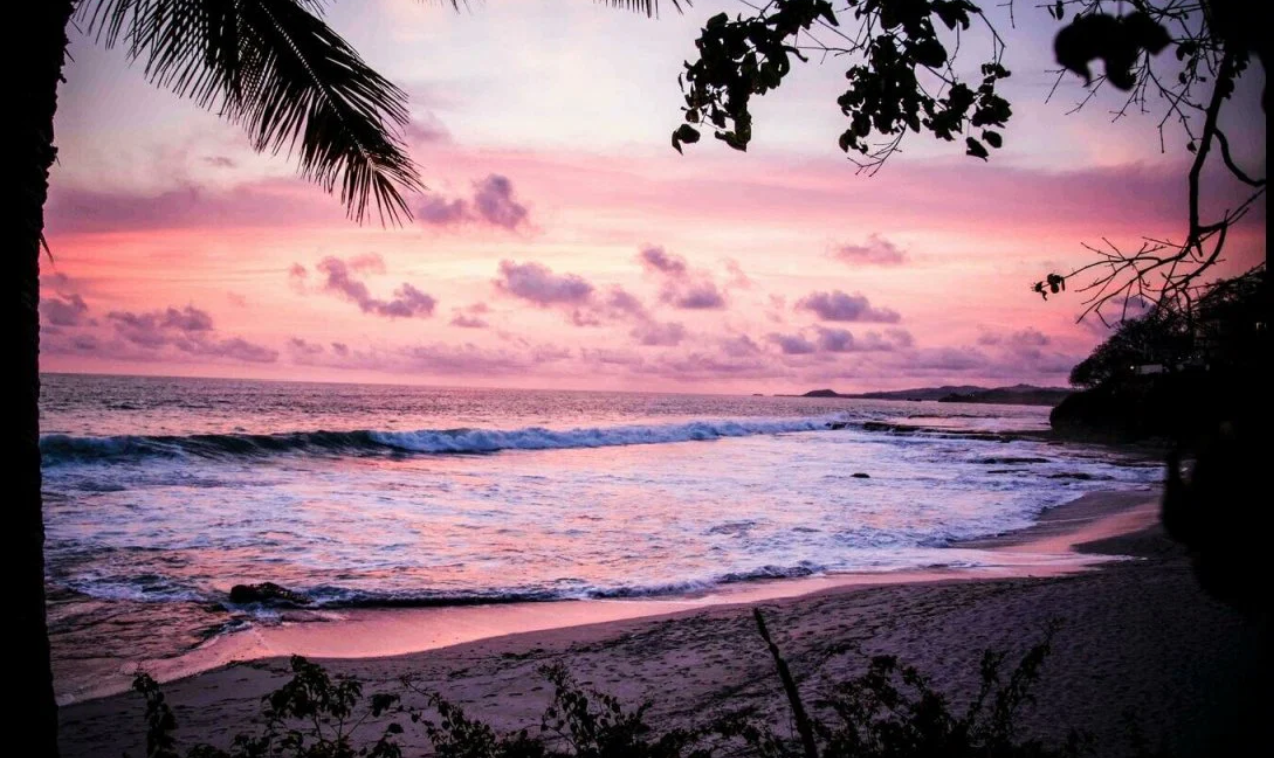 Pink Sands (Yankee Type).png