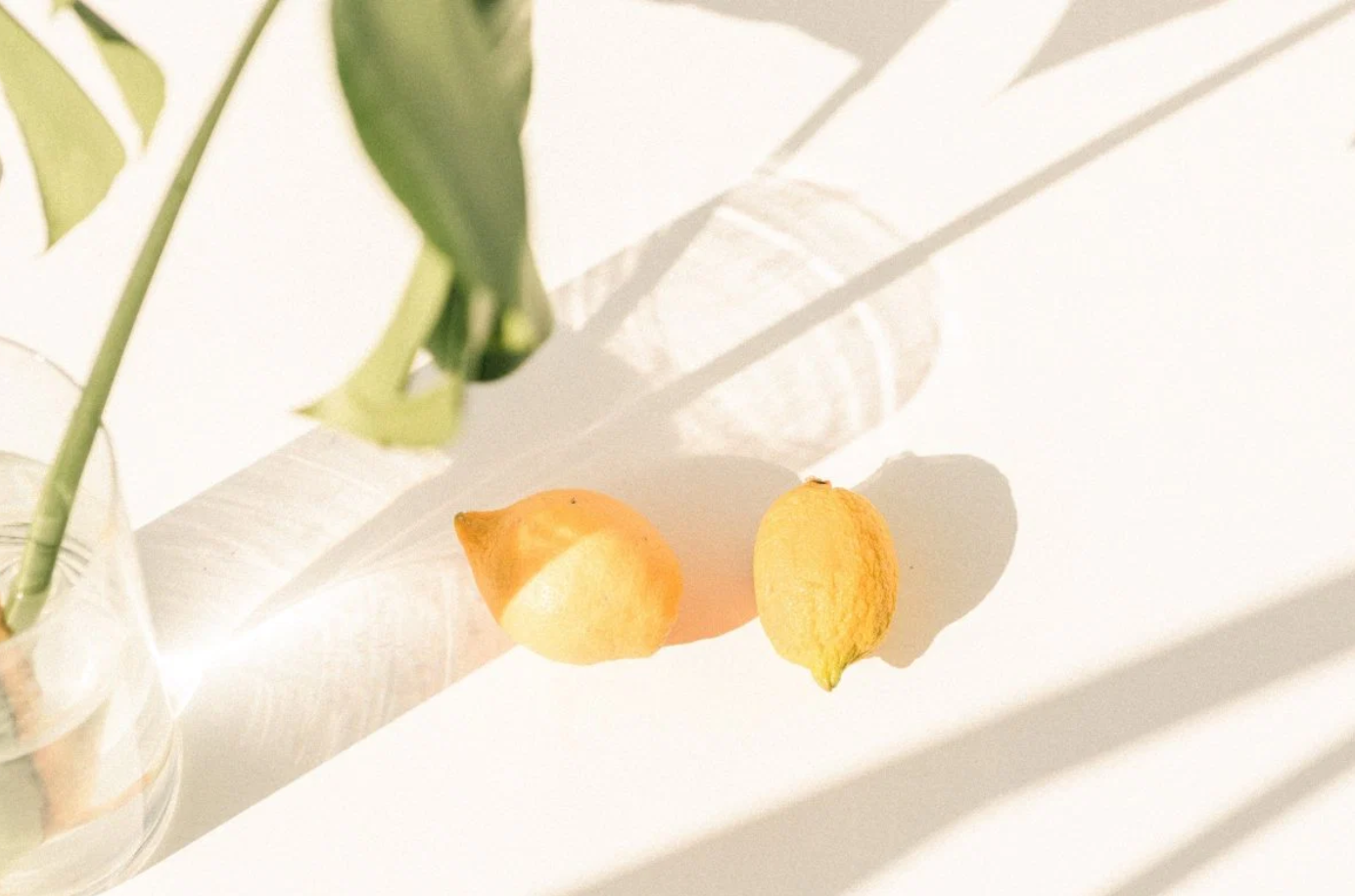 Sunshine and Lemon (Type).png