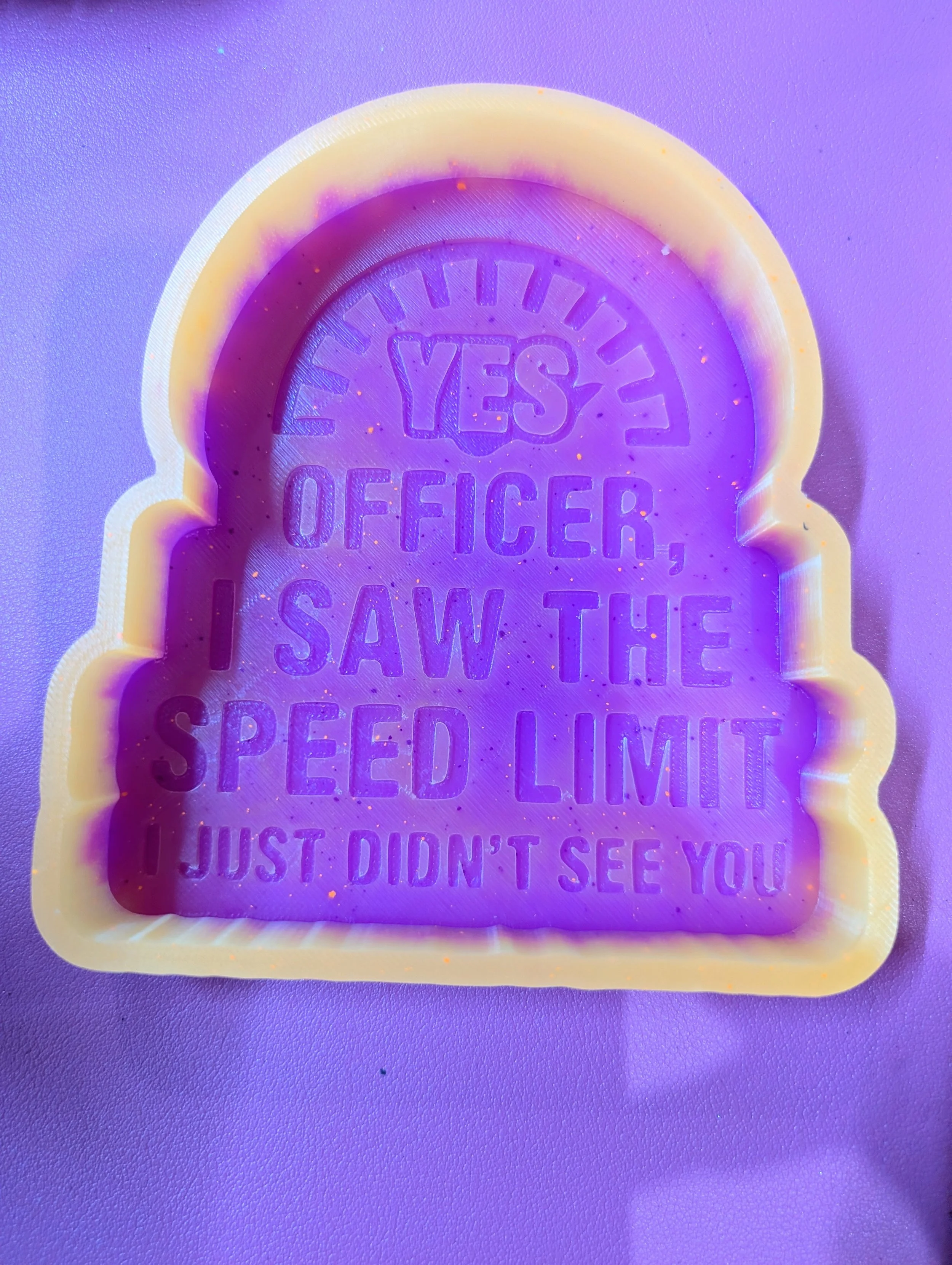 Yes Officer, I Saw the Speed Limit