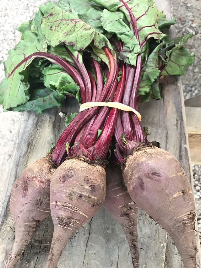 Beetroot Bunch