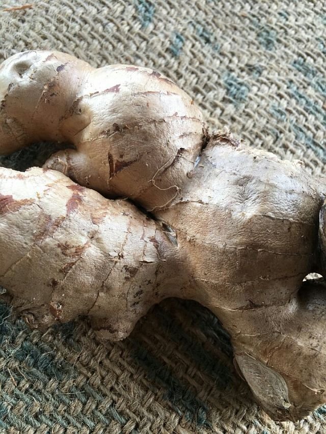 Ginger