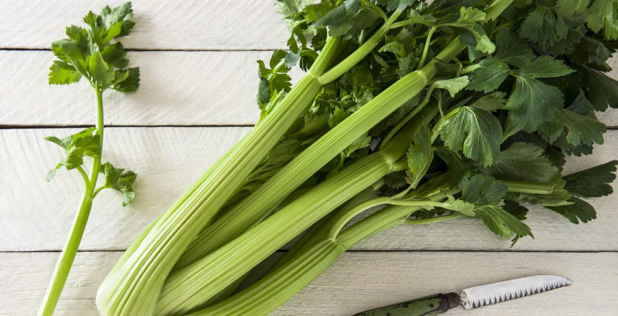 Celery bunch organic bunch