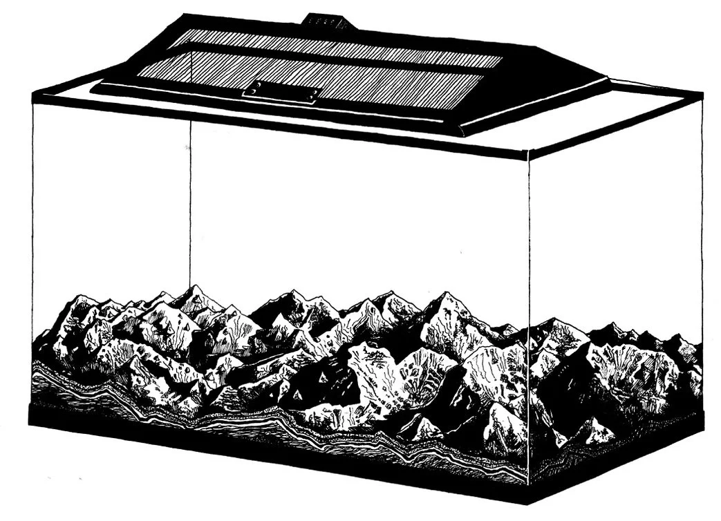 "Fish Tank” is an illustration that I created for a technical drawing course at the Rhode Island School of Design in 2020.   