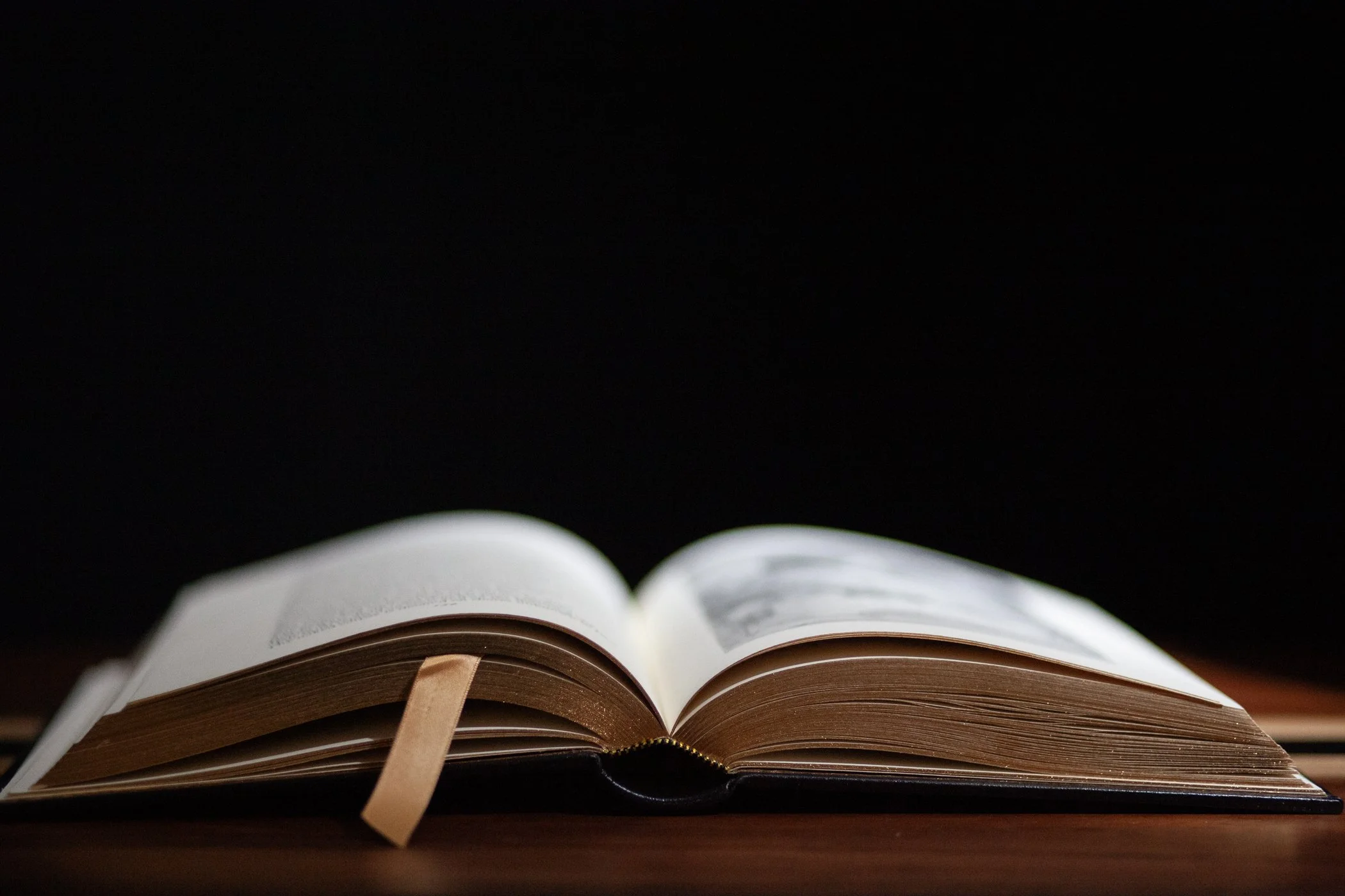  After a few shots I decided to play around in a new direction with a single book. 