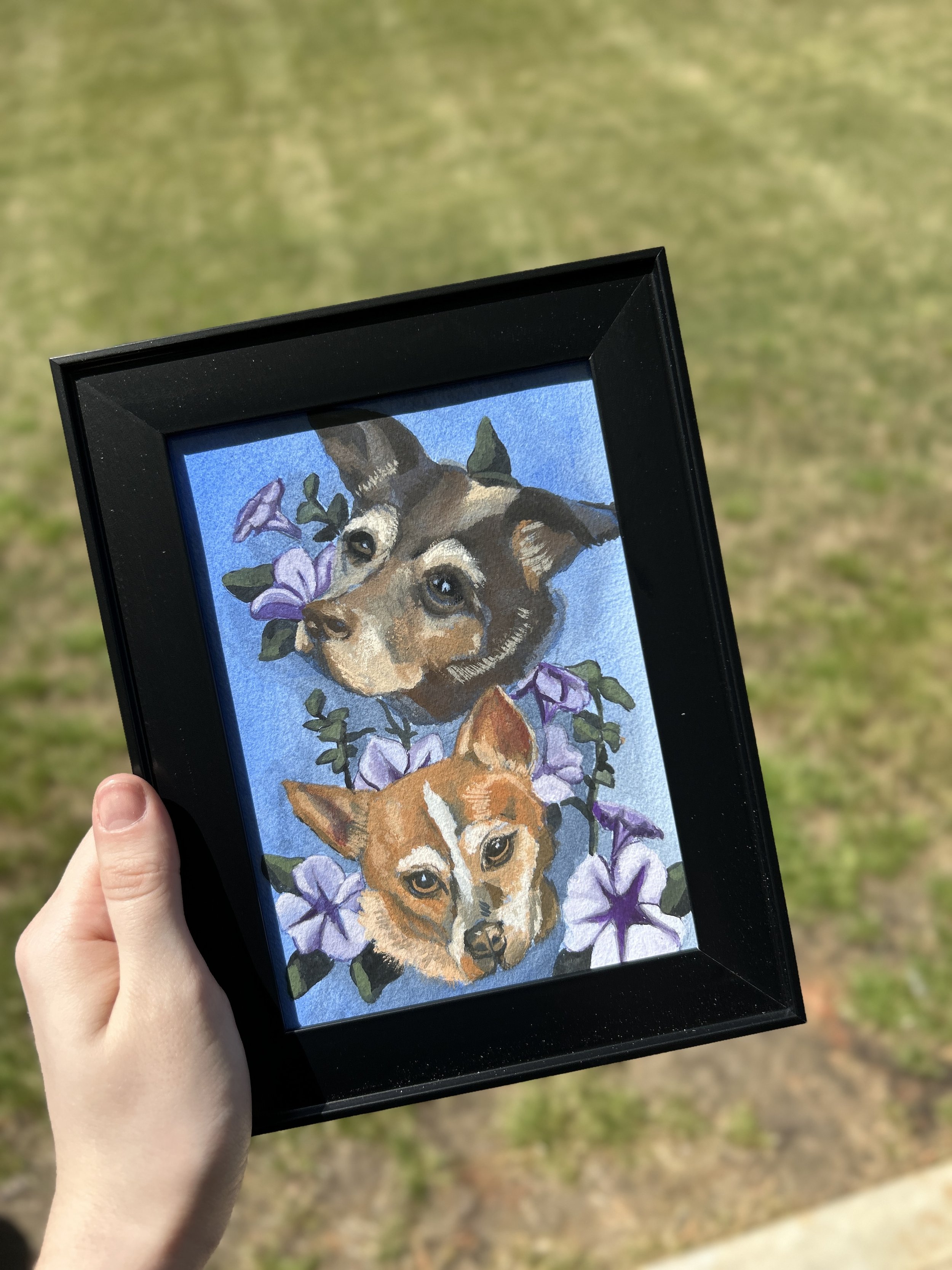 FRillustrations_NICK_pet_portrait.jpg