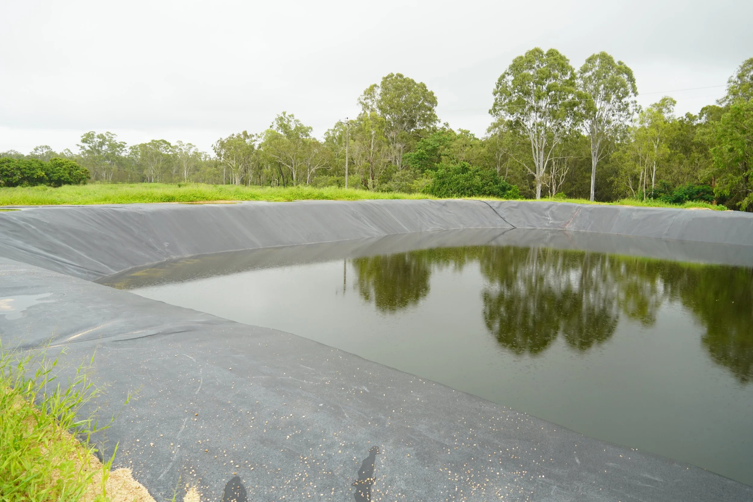Half-filled dam with black liner and trees and grass in the background.