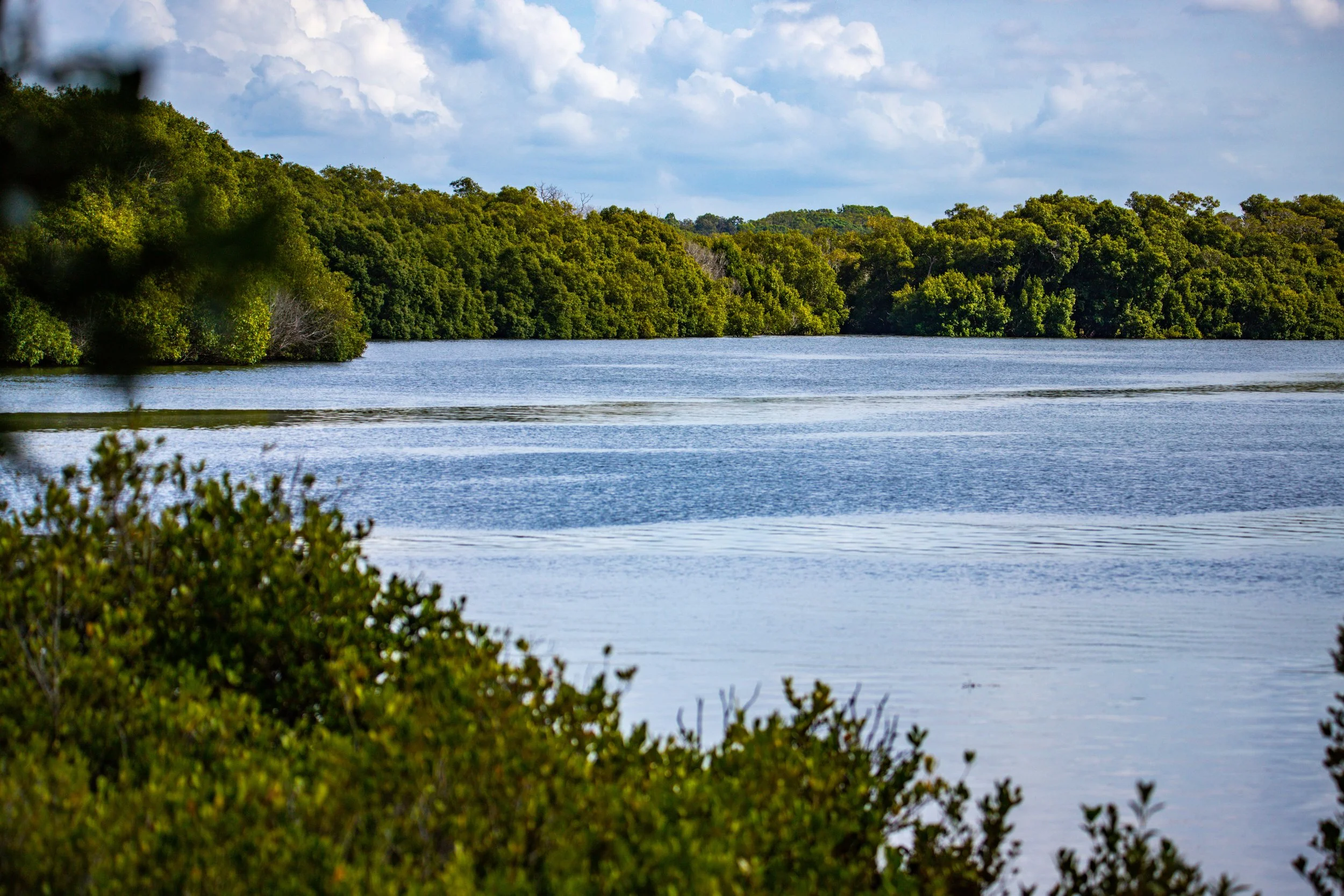 Waters of Moreton Bay