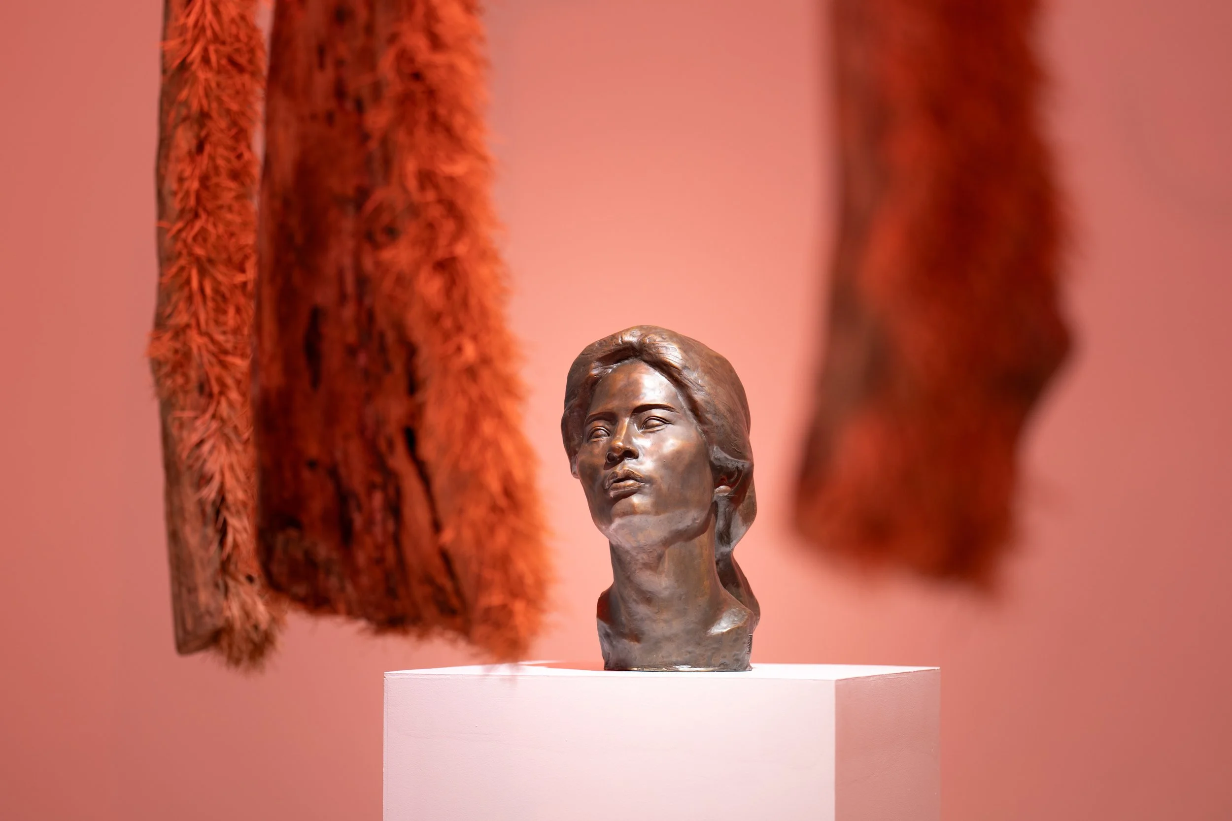 same roots x Liu Shiming