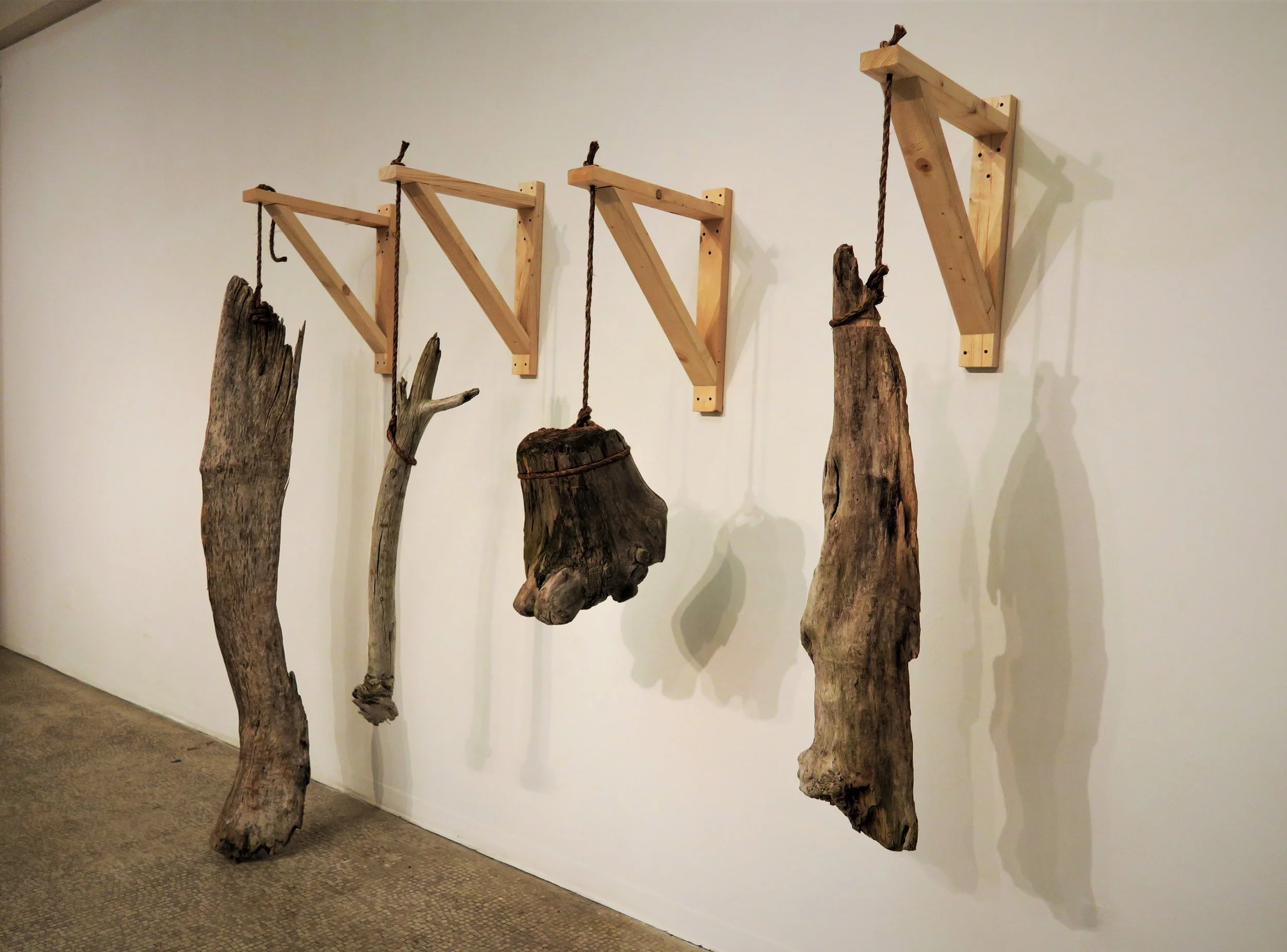 Ritter Zhang_Wood Revolution_installation (2).jpg