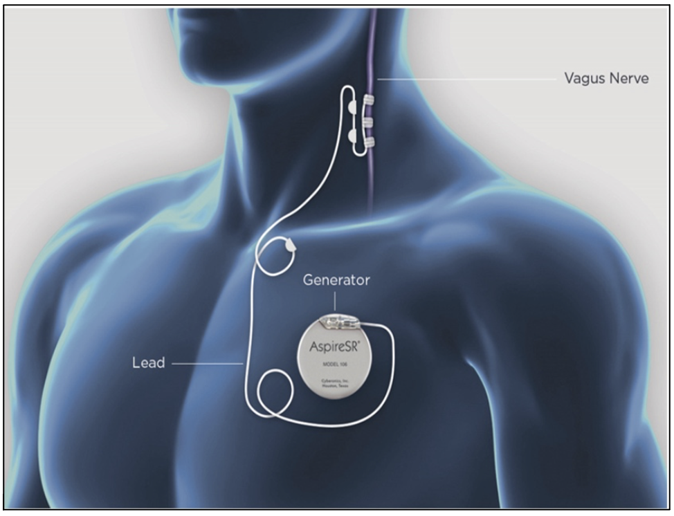 Screen Shot 2023-03-05 at 11.51.41 AM.png