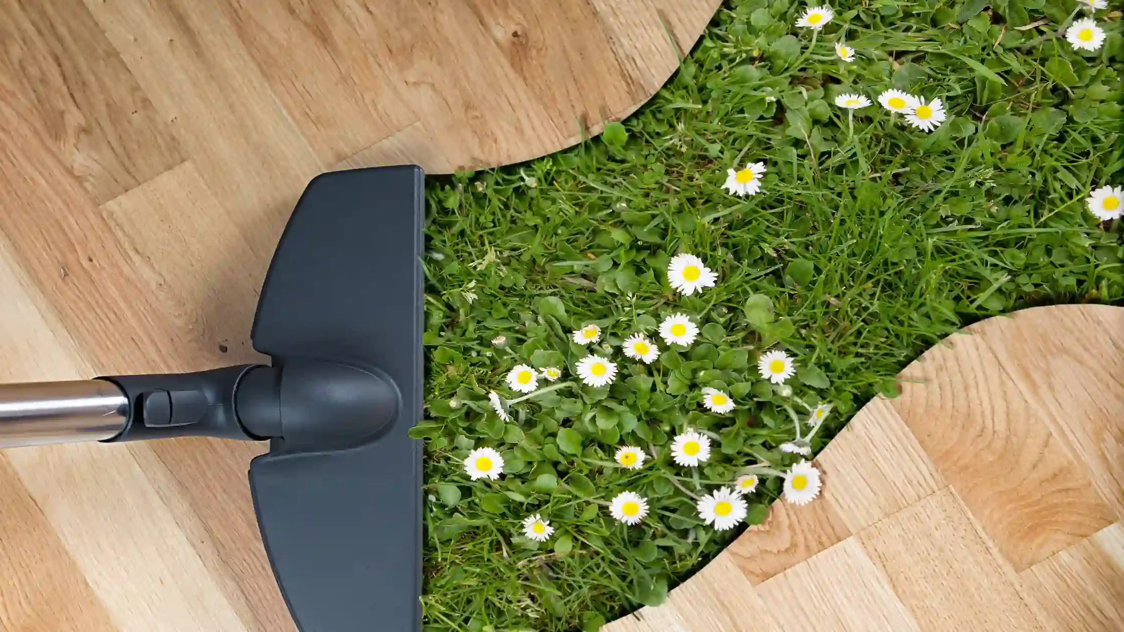 Spring Cleaning Tips