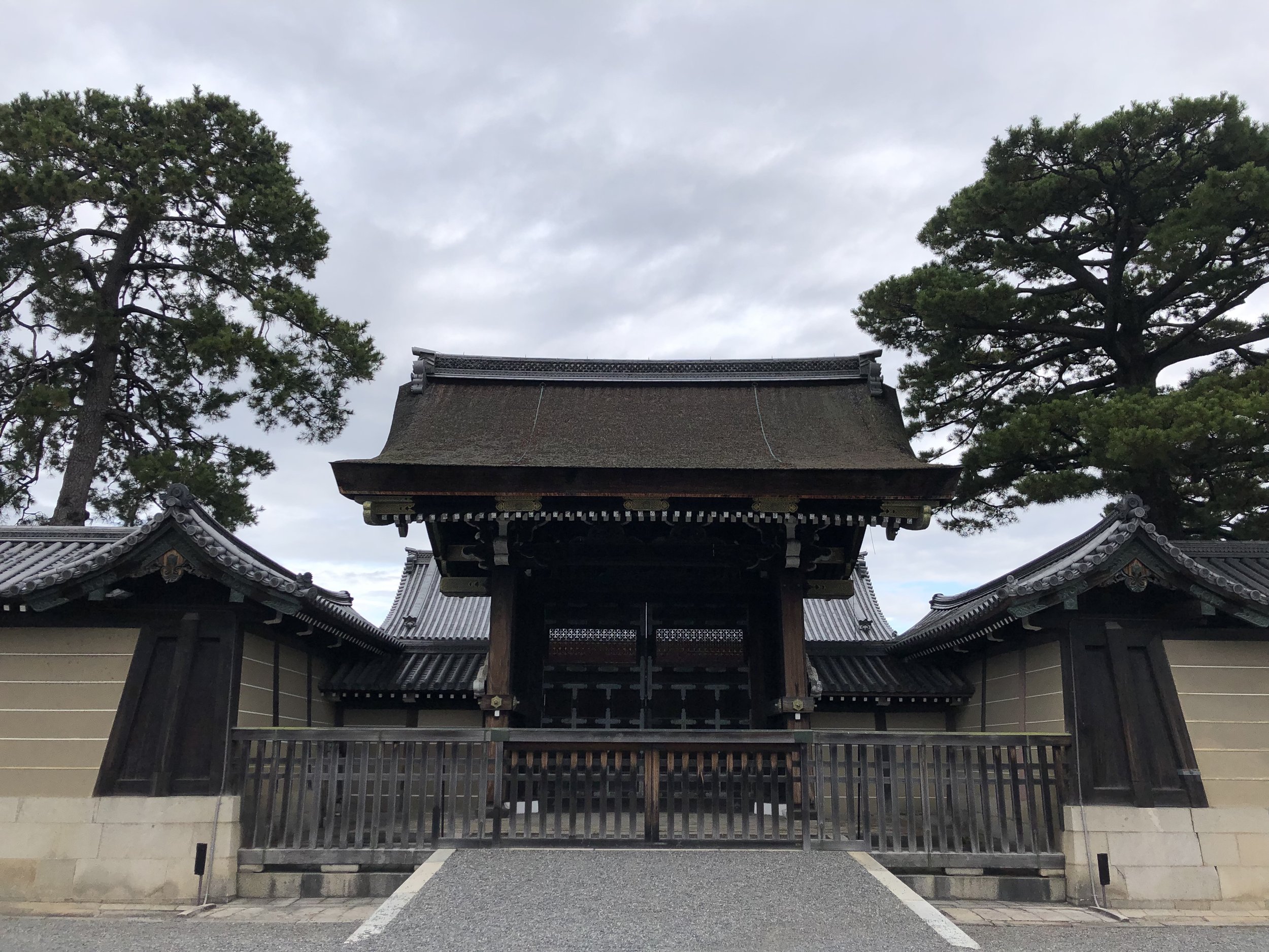 IMG_4579.jpeg