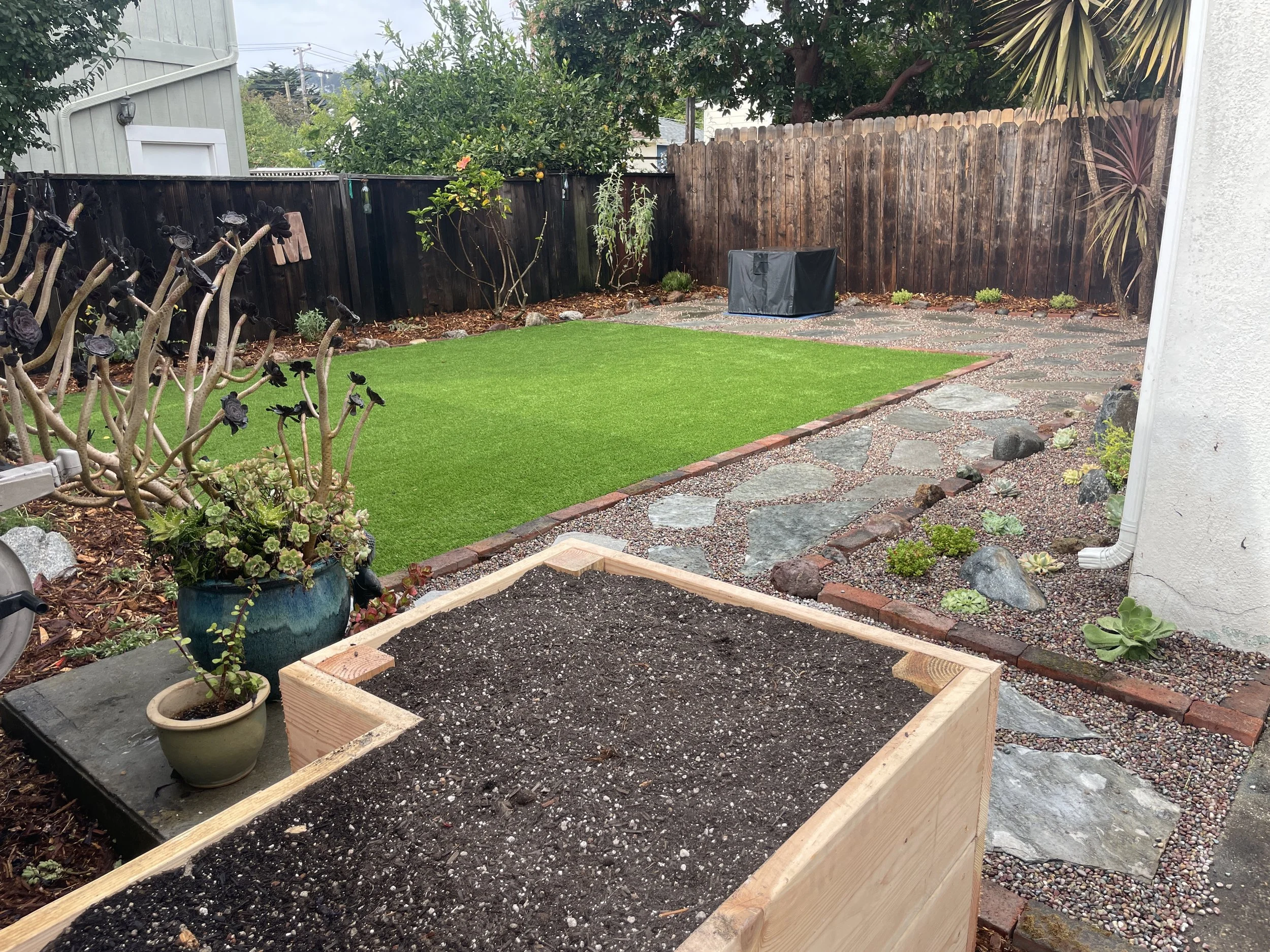 El Cerrito Backyard