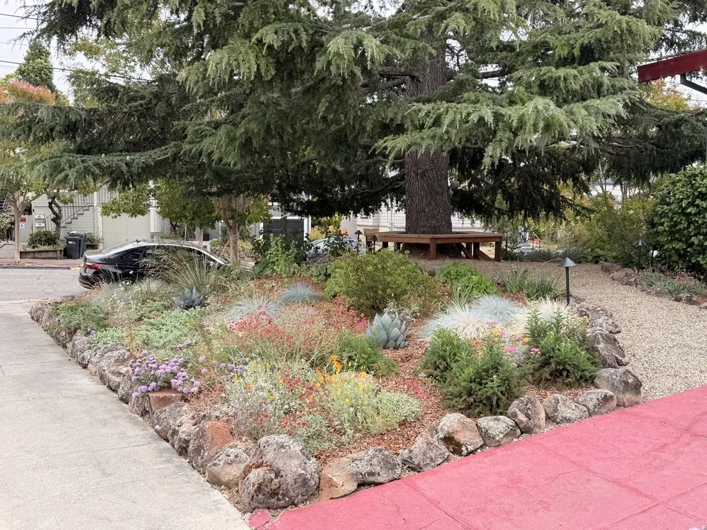 Oakland Corner Lot