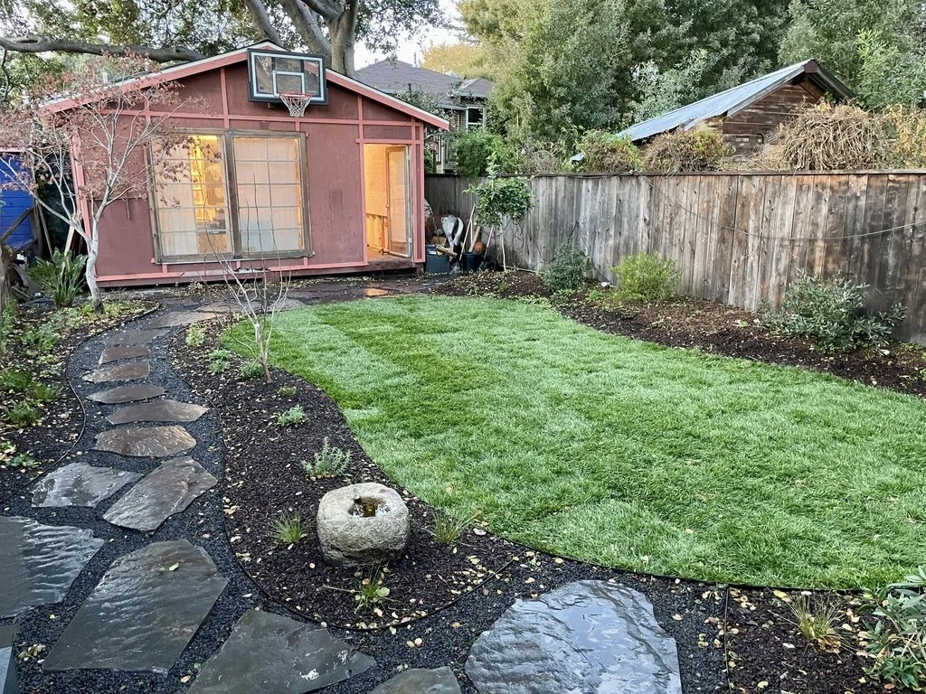 Oakland Backyard
