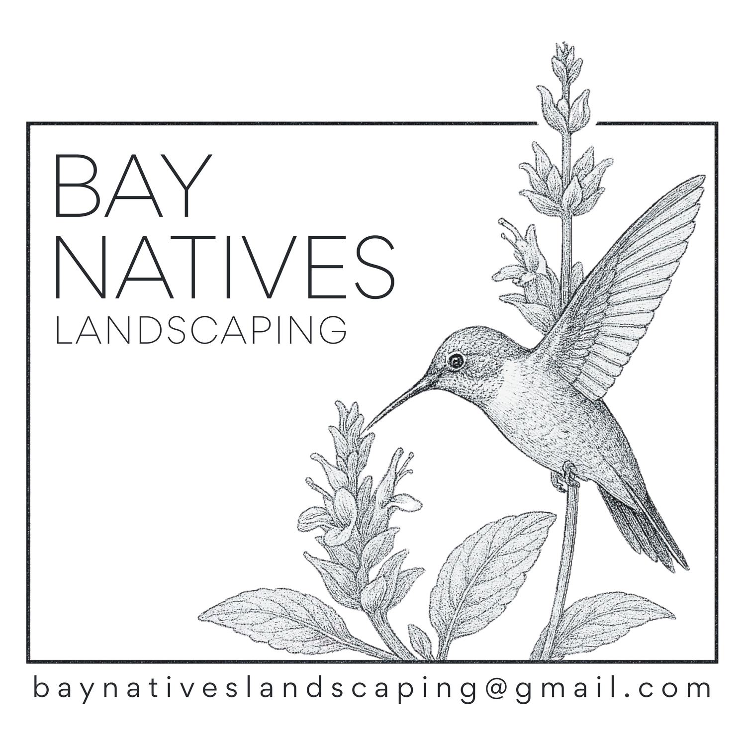 Bay Natives Landscaping