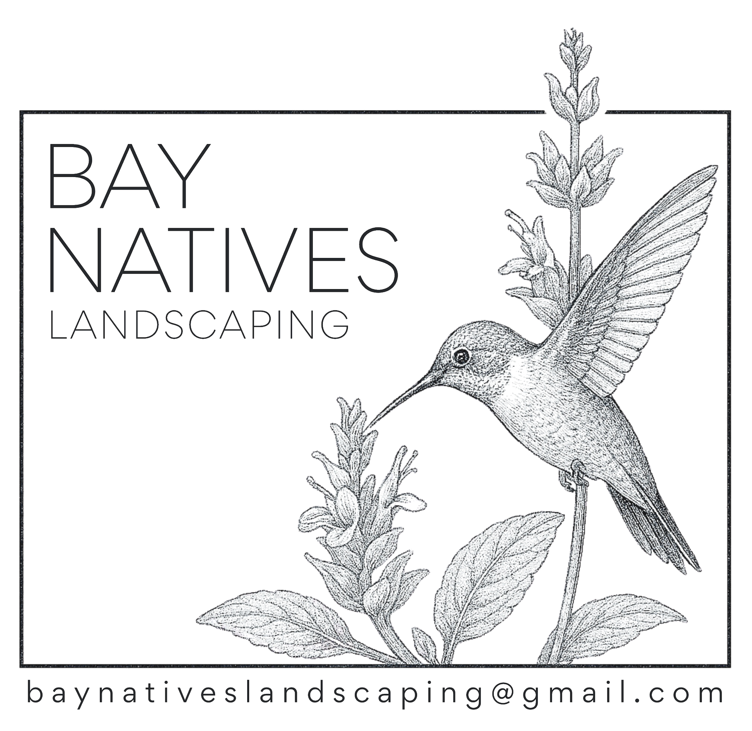 Bay Natives Landscaping