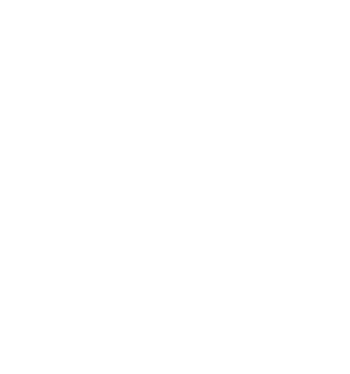 boldco global bood business charter