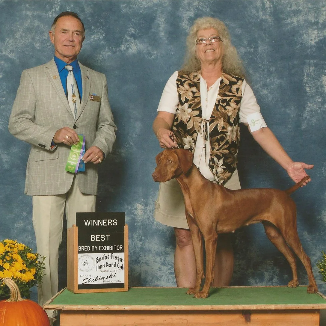 AKC CH UKC CH SIZZLEVILLES LIL RED GONE WITH THE WIND