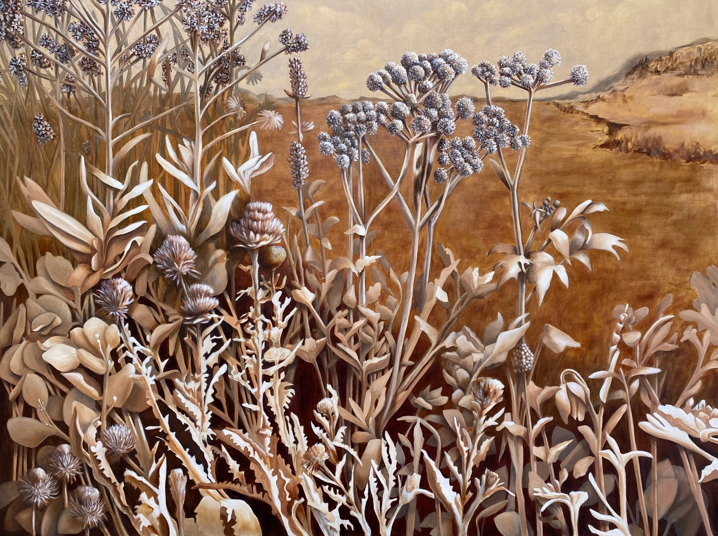 "Thistles in Sepia" Oil on Canvas, 30" x 40" SOLD