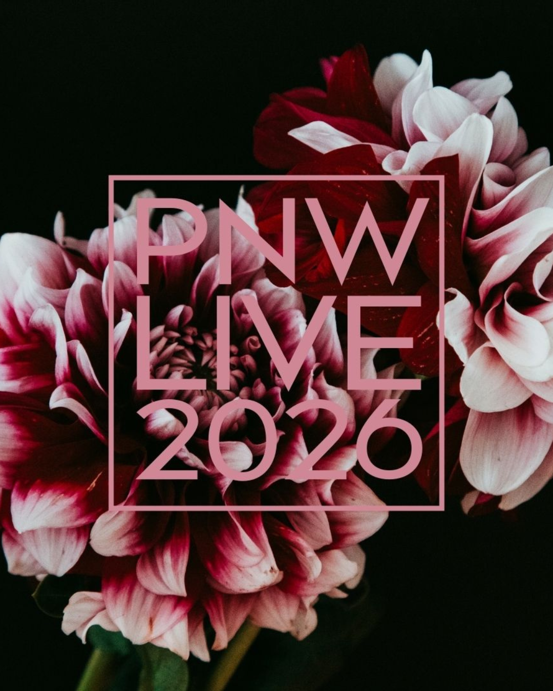 Executive Night- LIVE 2026