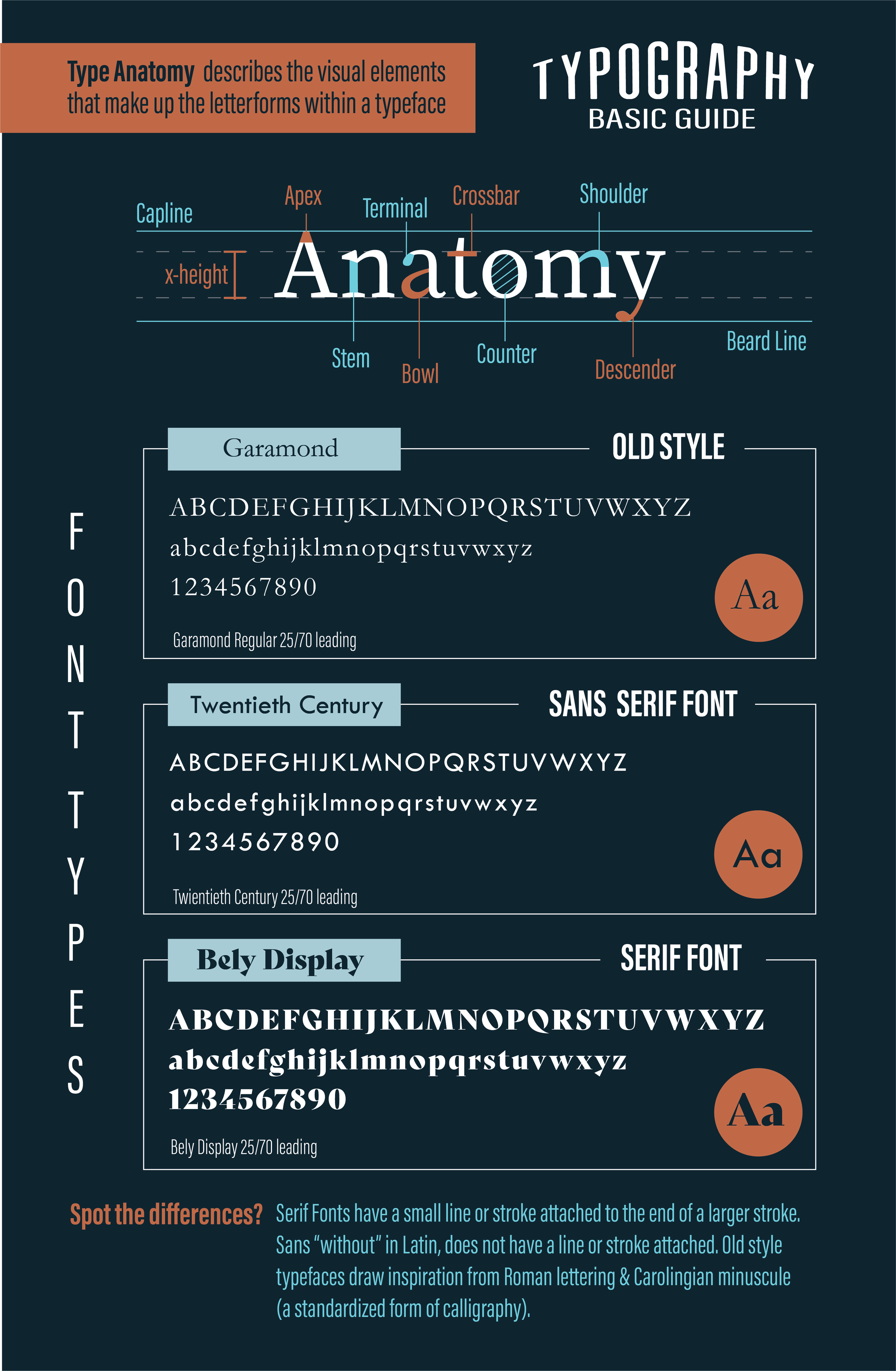 ReyesIsabelle_AnatomyCompareClassify_11x17.png