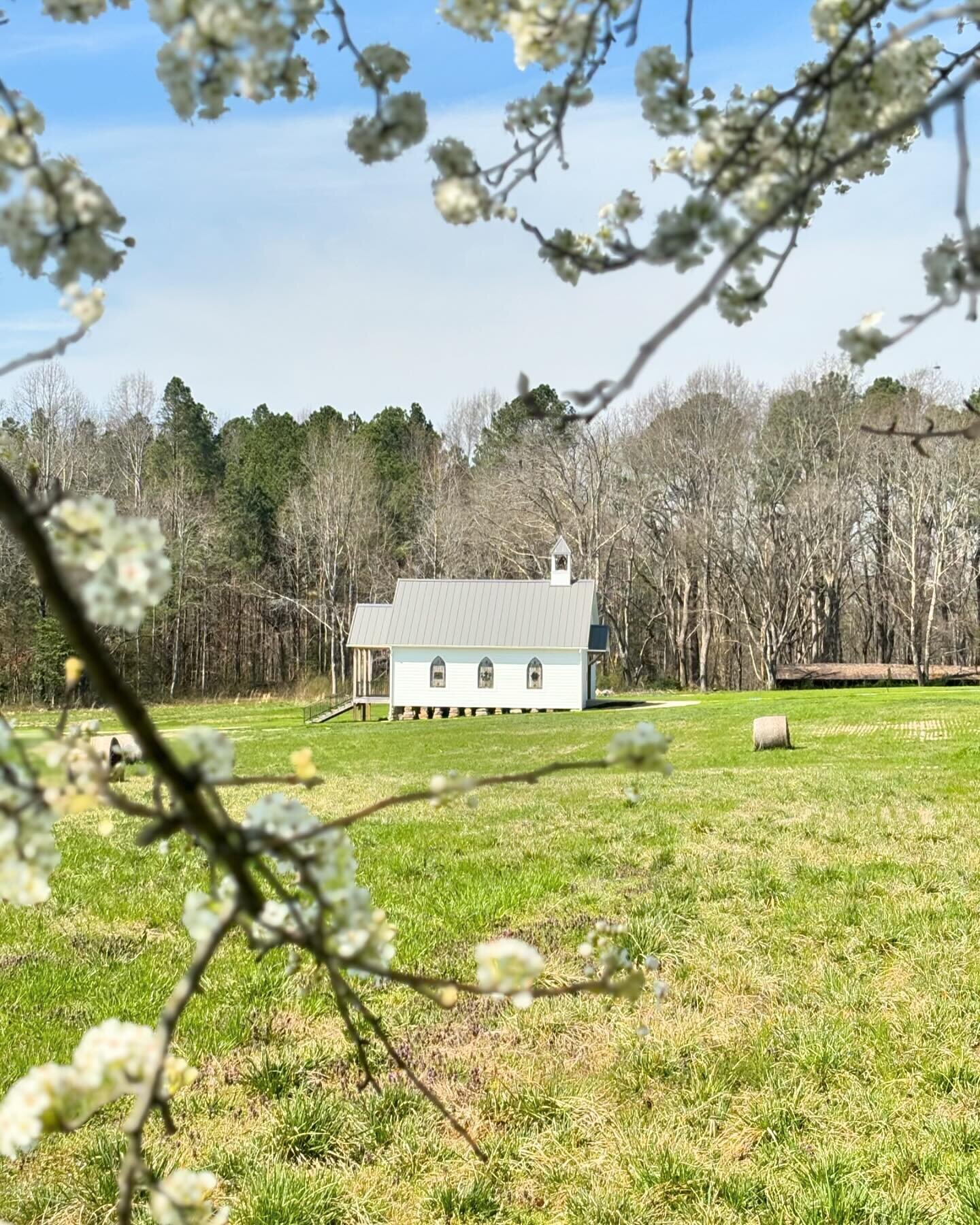Spring has sprung at White Oak Manor and it&rsquo;s the perfect weather to come tour our beautiful venue! 
Book your tour today at www.whiteoakmanorvenue.com 

#whiteoakmanorweddings #virginiaweddingvenue #chapelvenue #barnvenue #virginiaweddings #ou