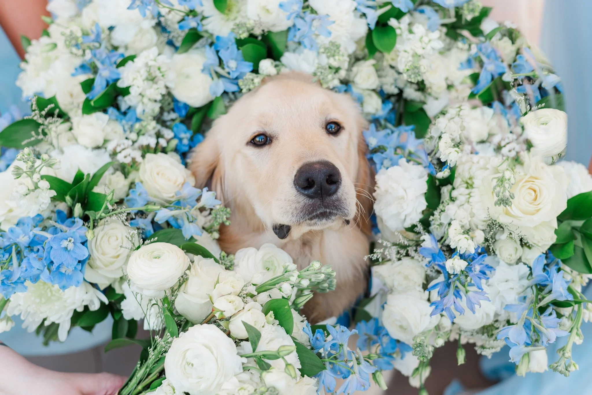 Your  wedding day wouldn&rsquo;t be complete without all your favorite loved ones, even the furry ones! We&rsquo;re happy to welcome your pets to be part of your special day. From walking down the aisle to posing for photos, your four-legged friend w
