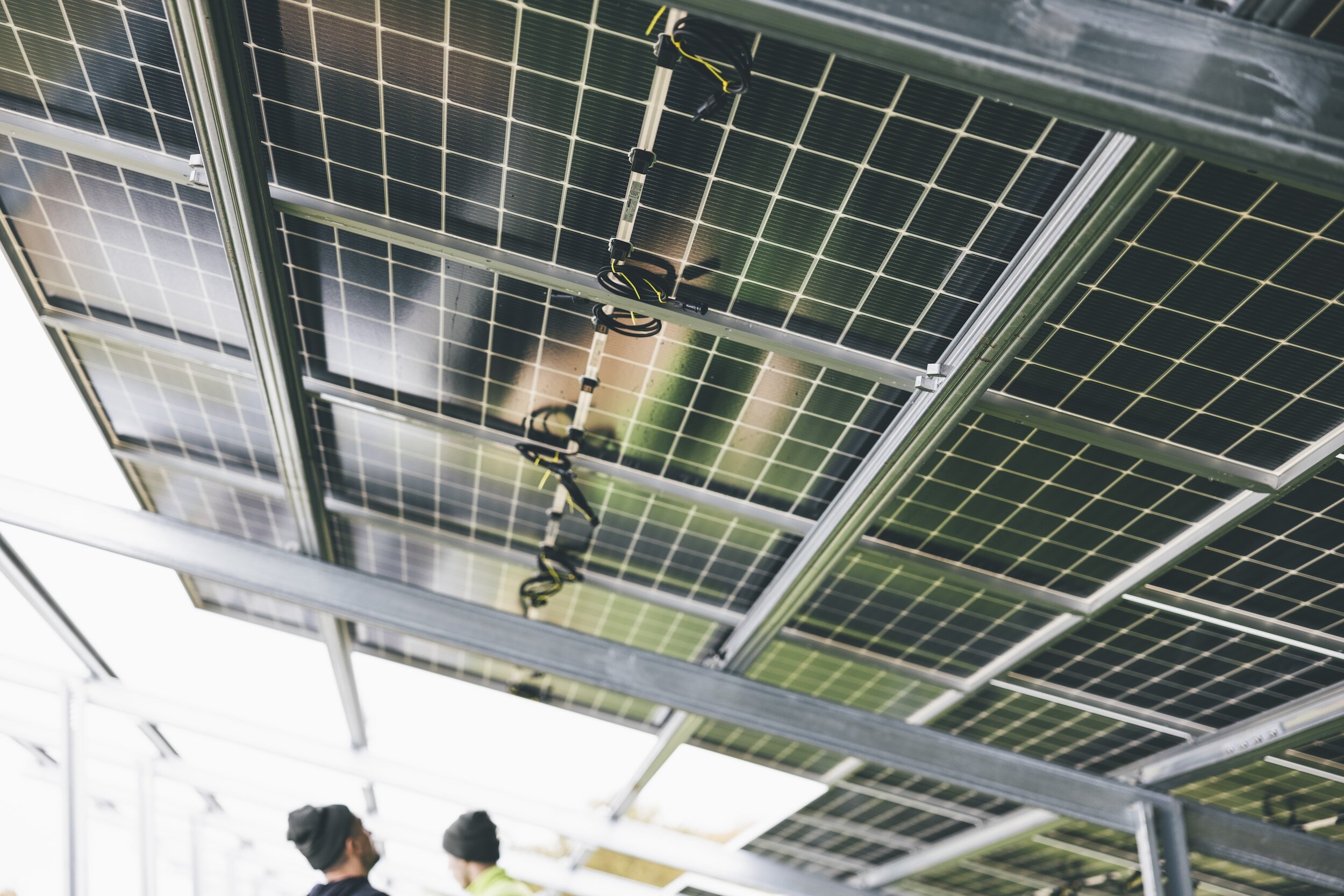 High-Efficiency Solar Panels and Diverse Solar Cell Types