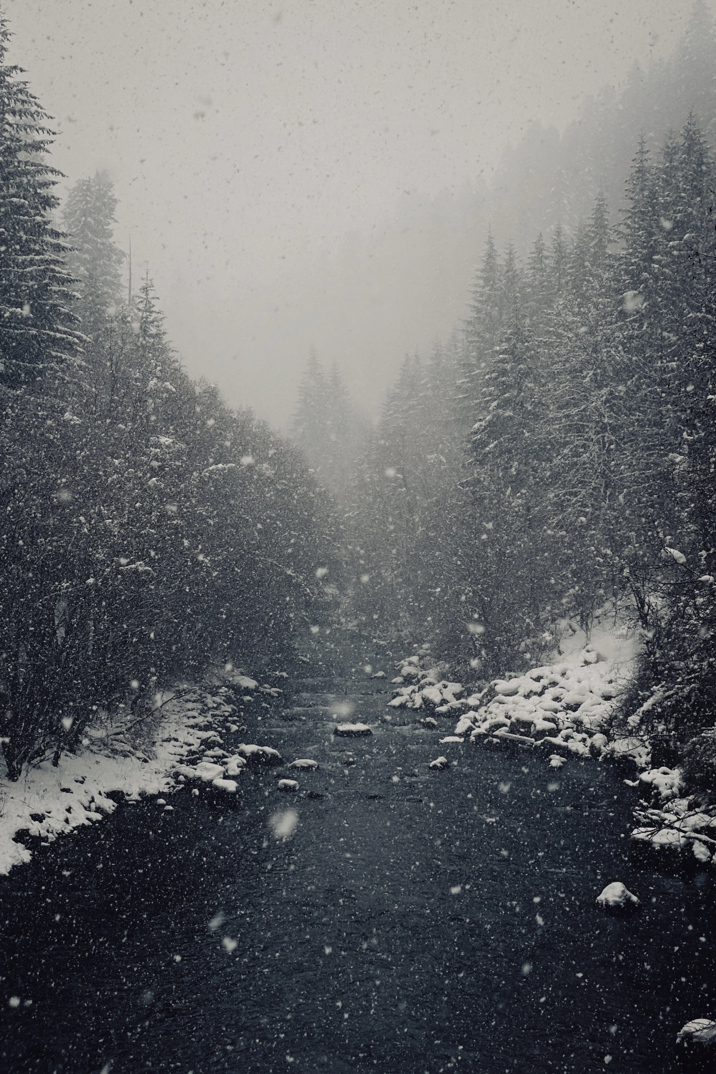 Snow Covered Oregon