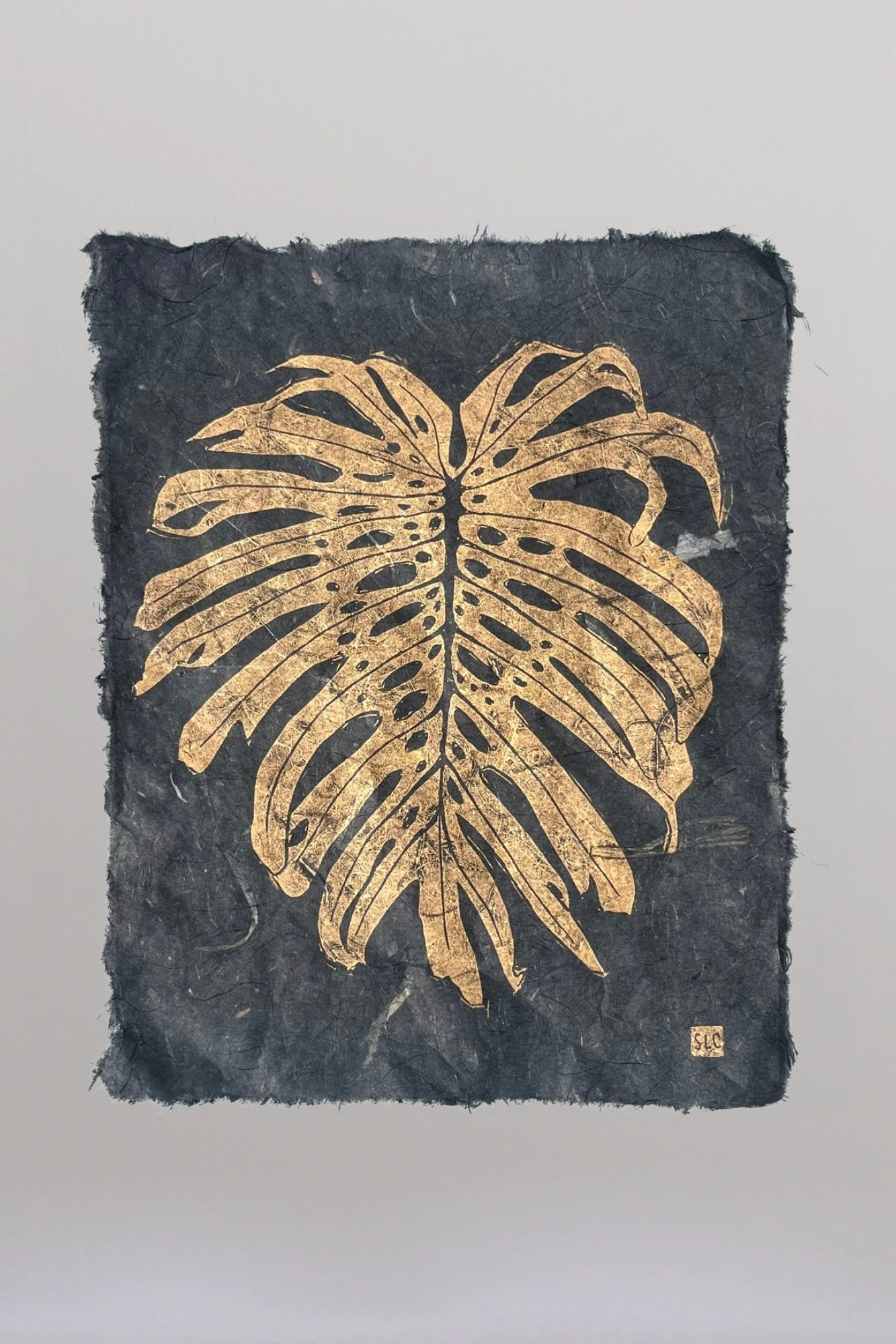 Golden Monstera-3.jpg