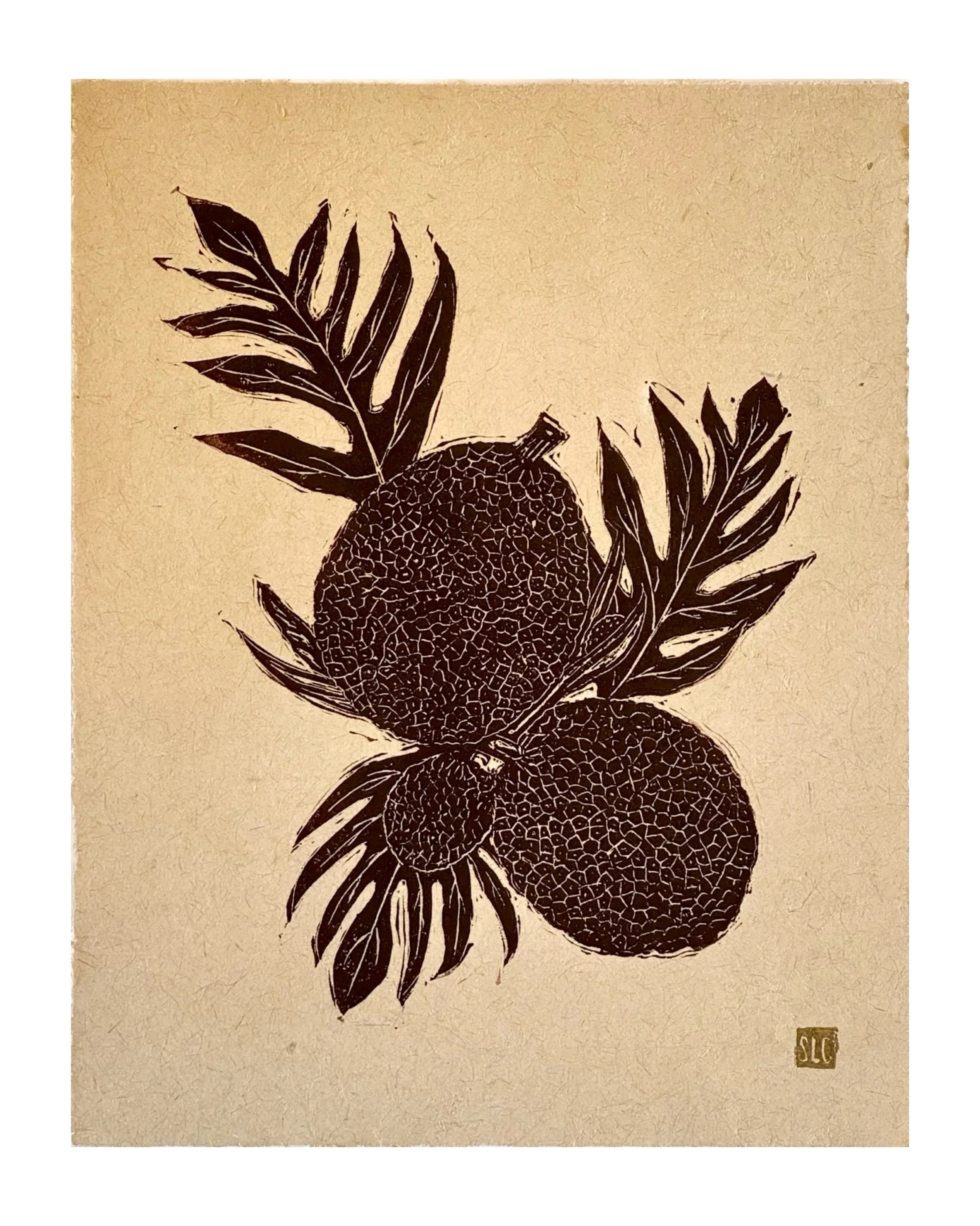 First of Many Harvests