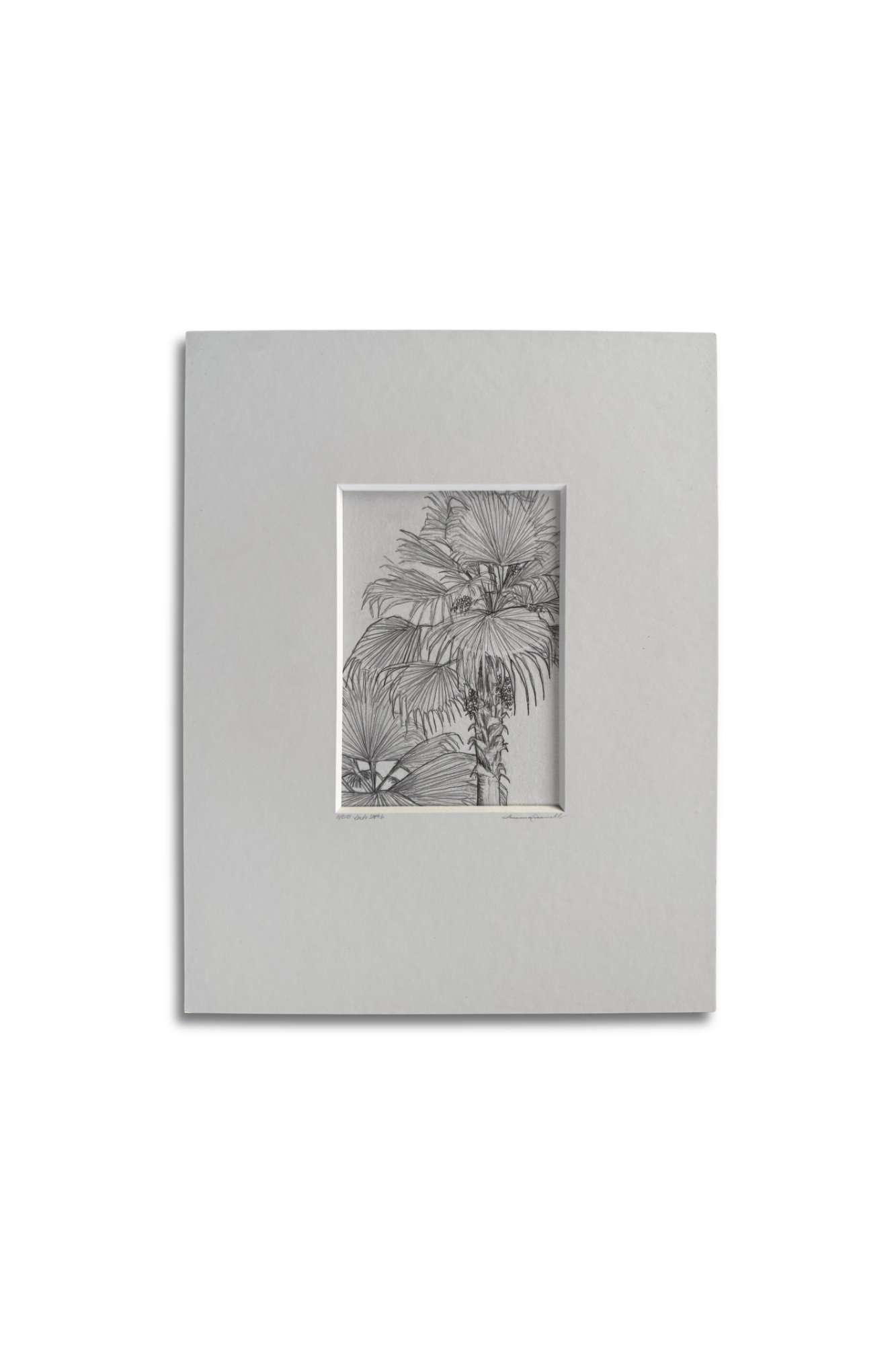Loulu Sketch • Original Graphite Illustration
