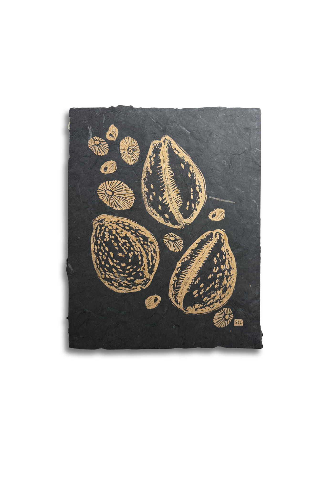 Tidepool Treasures · Gold on Black