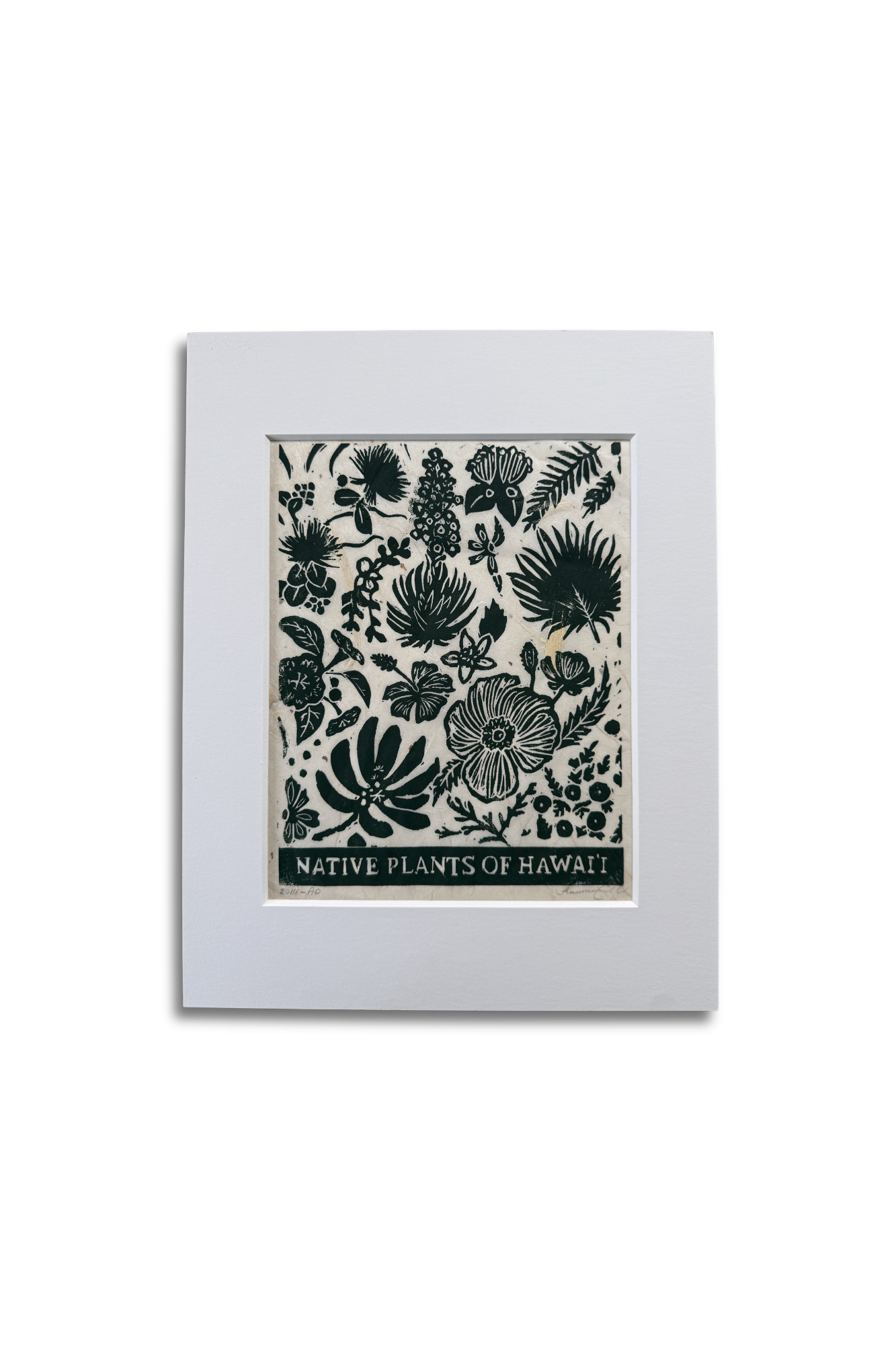 Native Plants of Hawaii 2019 AP.png
