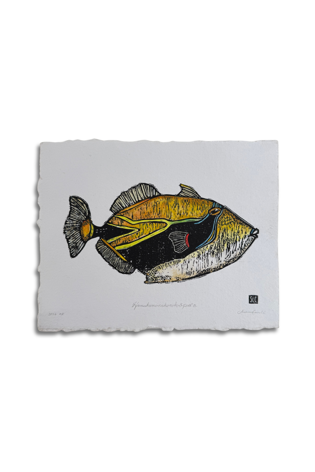 Humuhumu Watercolored.png