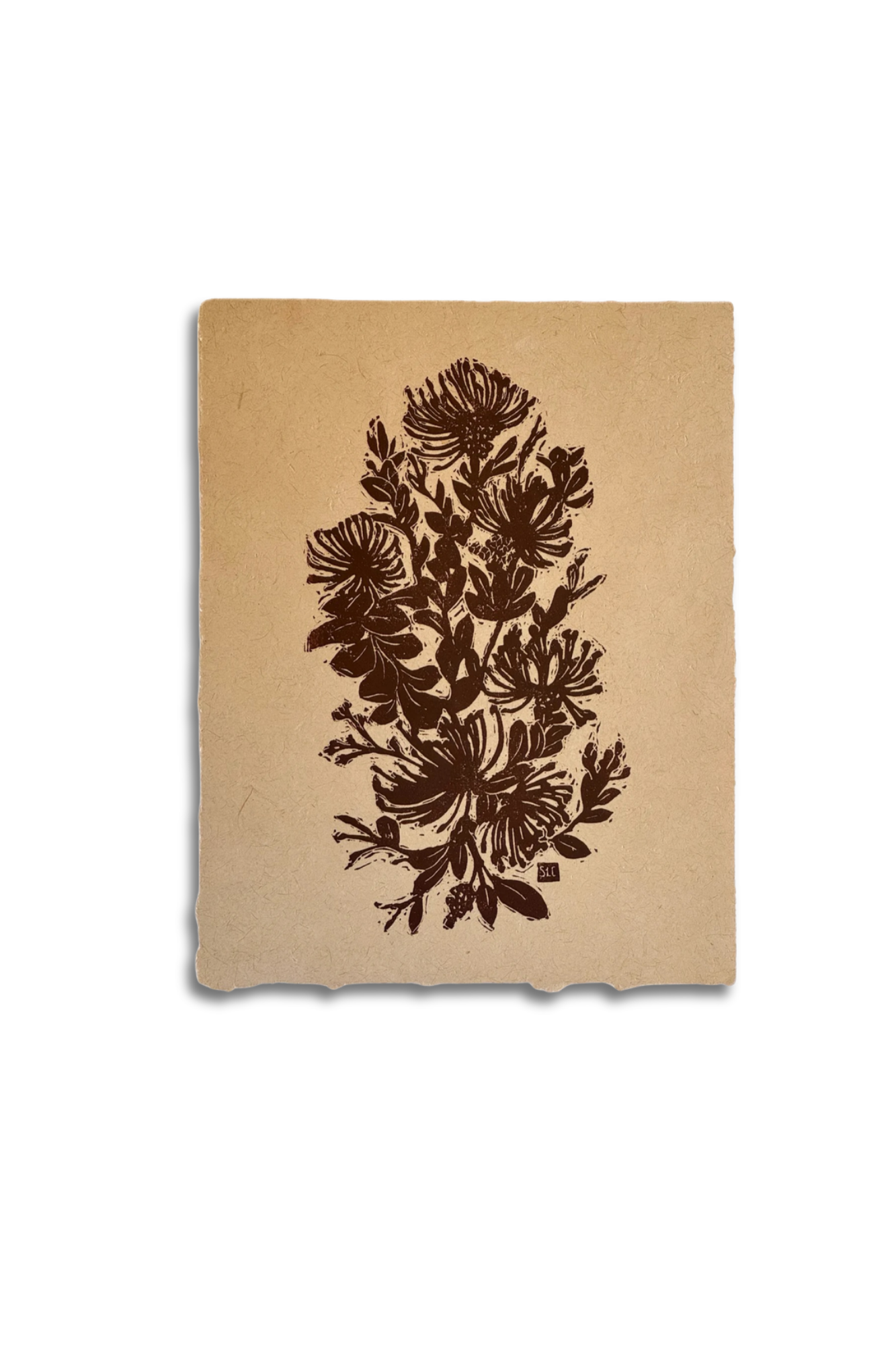 'ōhi'a lehua.png