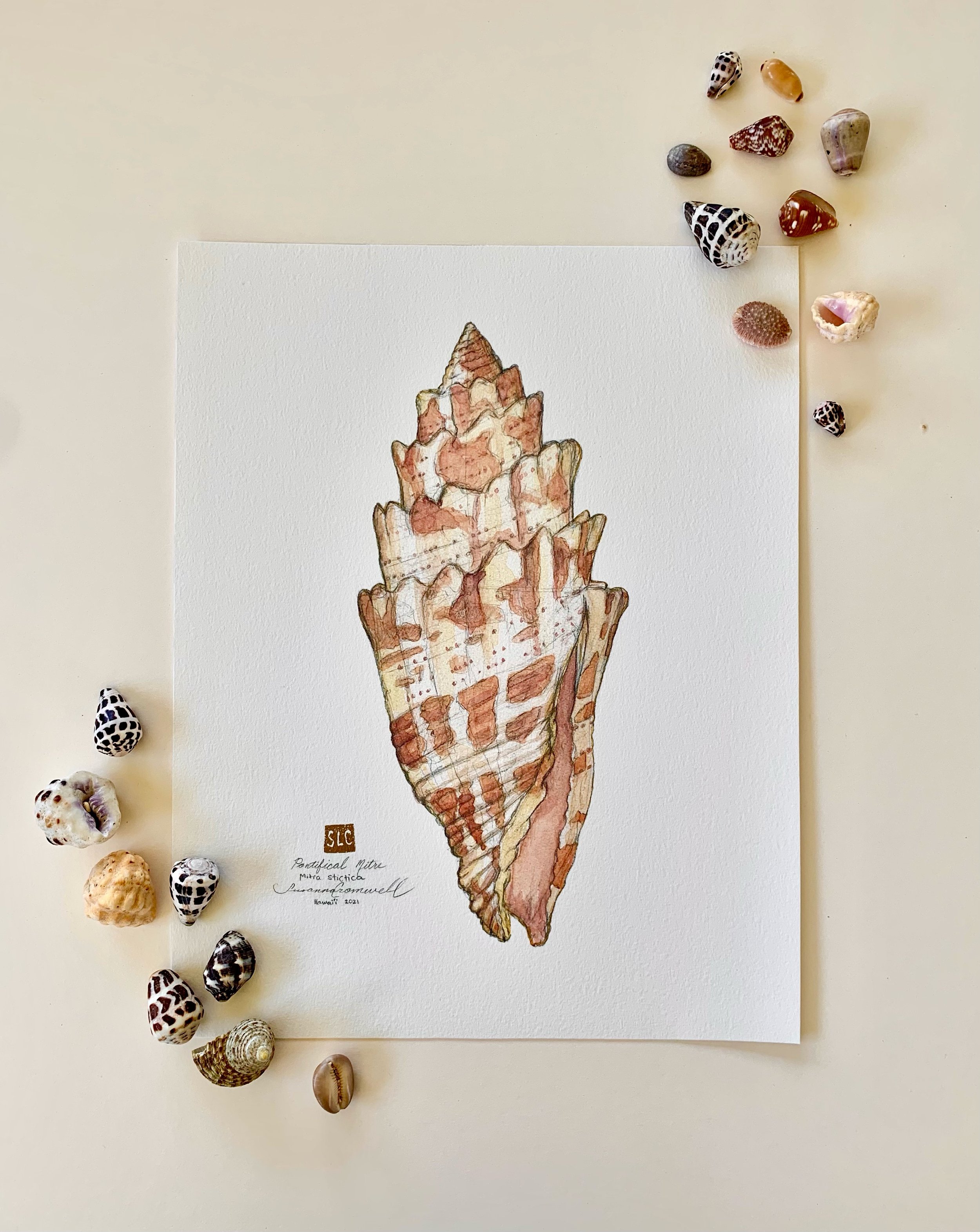 Pontifical Mitre.jpg